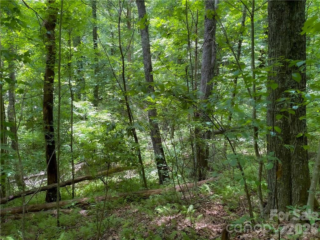 Rich Knob Estates - Land