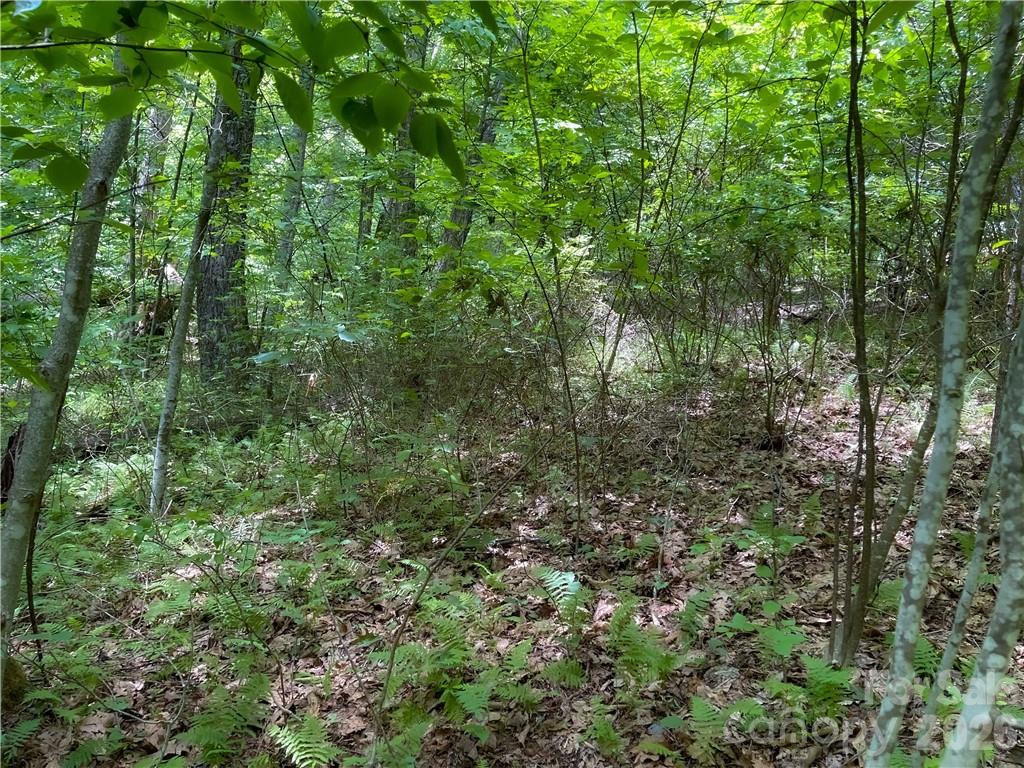 Rich Knob Estates - Land