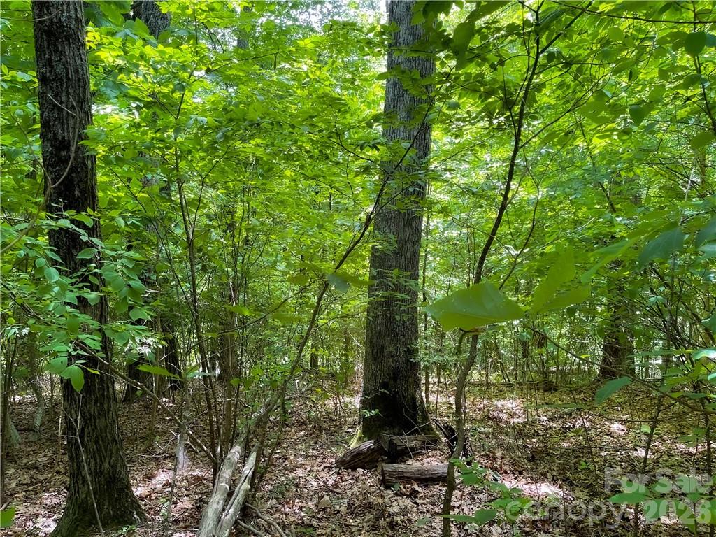 Rich Knob Estates - Land