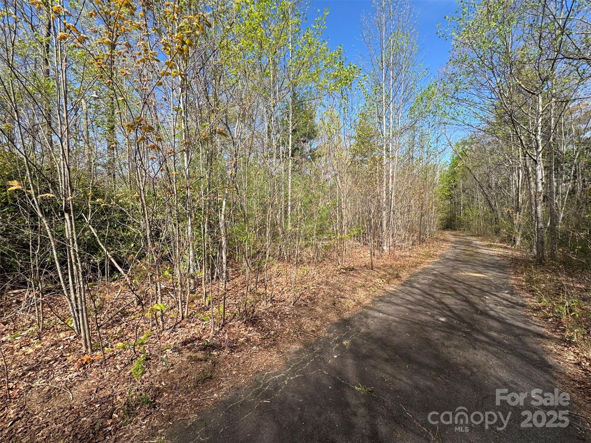 Chestnut Walk - Land