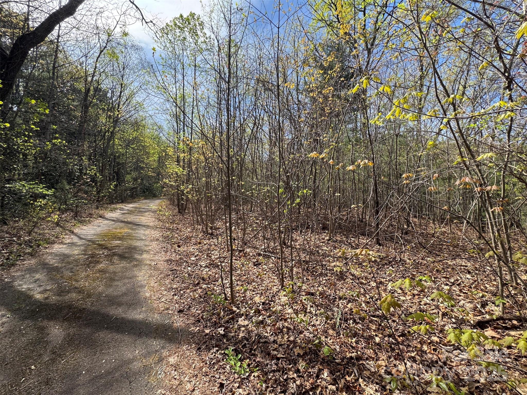 Chestnut Walk - Land