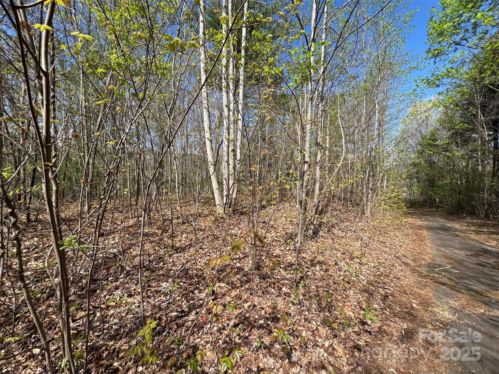 Chestnut Walk - Land