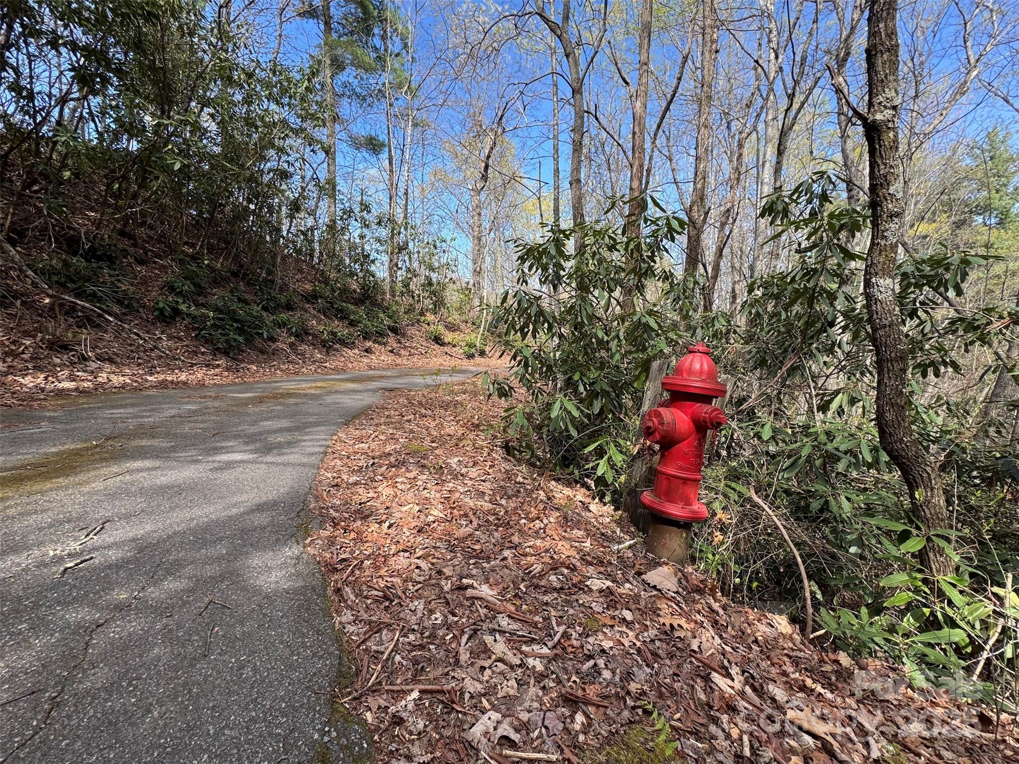 Chestnut Walk - Land