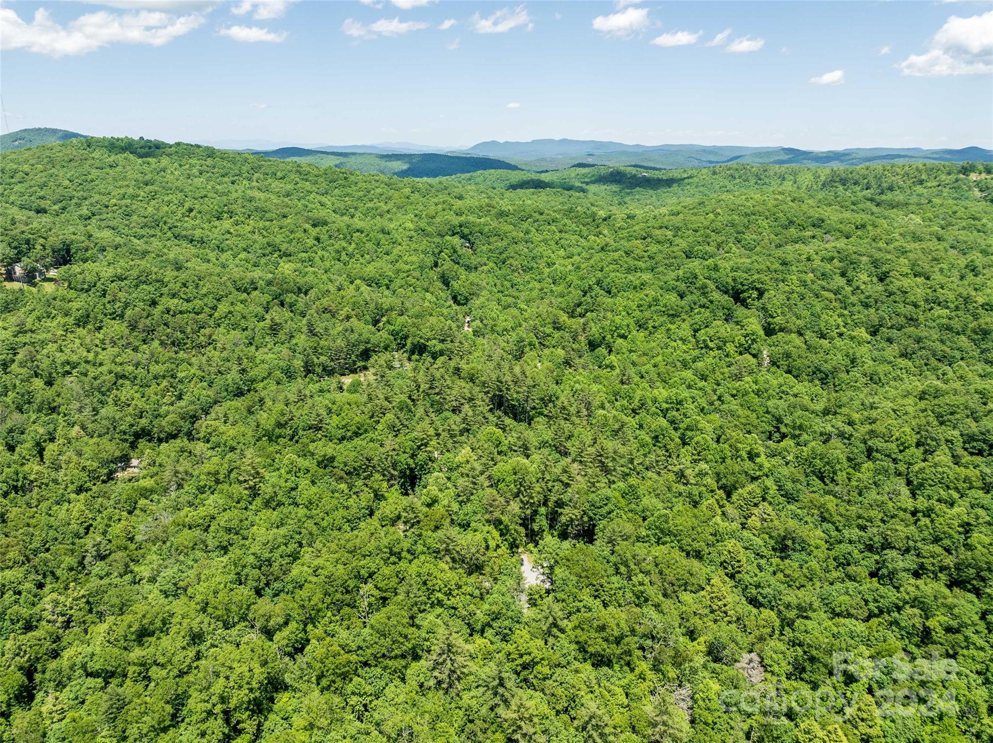 Unique opportunity for a buyer looking for a family retreat, vacation, airbnb and/or residential rental. Situated on +/-  6.46 AC adjacent to unlimited scenic beauties near DuPont State Forest and Table Rock State Park. This property boasts 4 homes with a main home and 3 additional cabins; each sleep up to 4 guests. The main house is 1 bedroom and 1 bath with a large enclosed porch. Each cabin is 1 bedroom and 1 bath, each with an additional loft space. This is an incredible opportunity close to hiking, waterfalls, and other natural attractions.  Site is big enough to support additional cabins if buyer chooses.