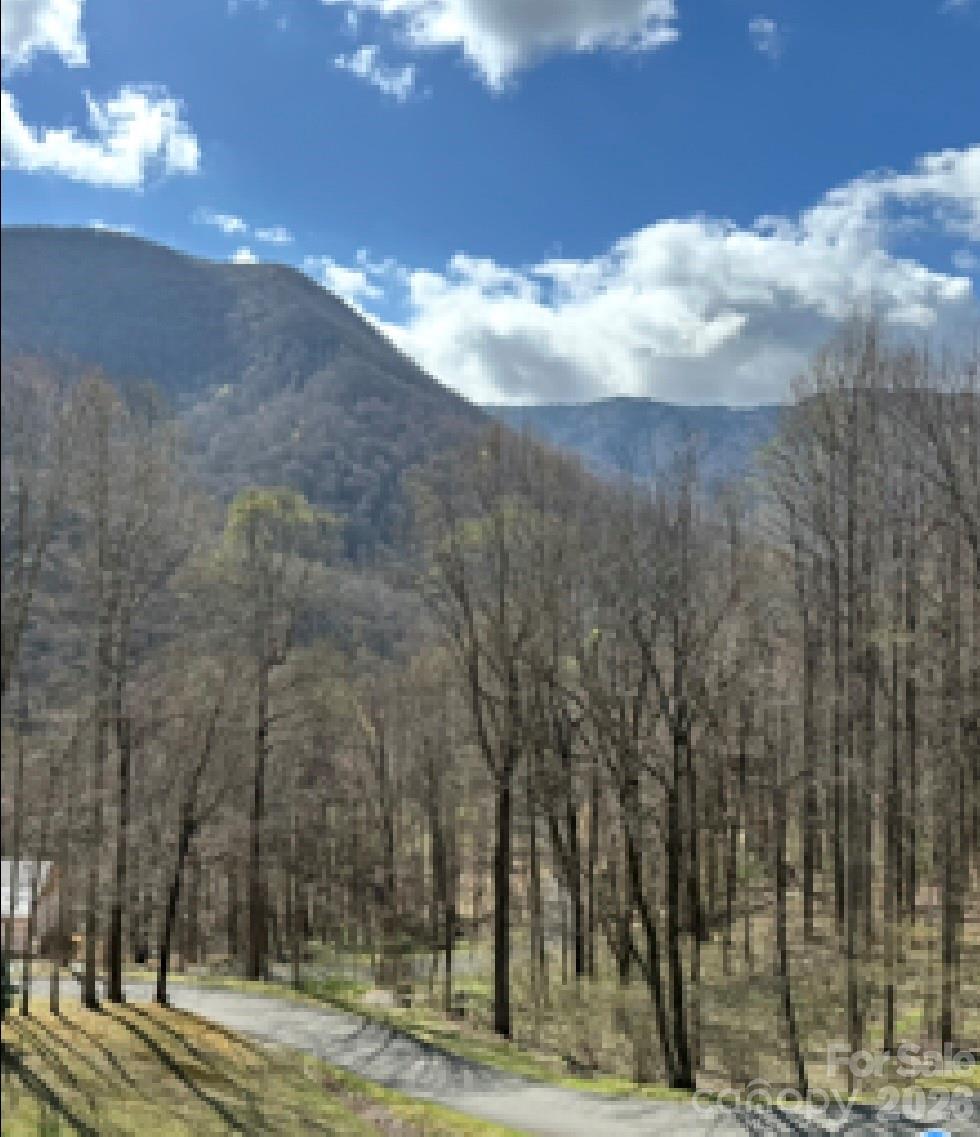 Fisher Ridge - Residential