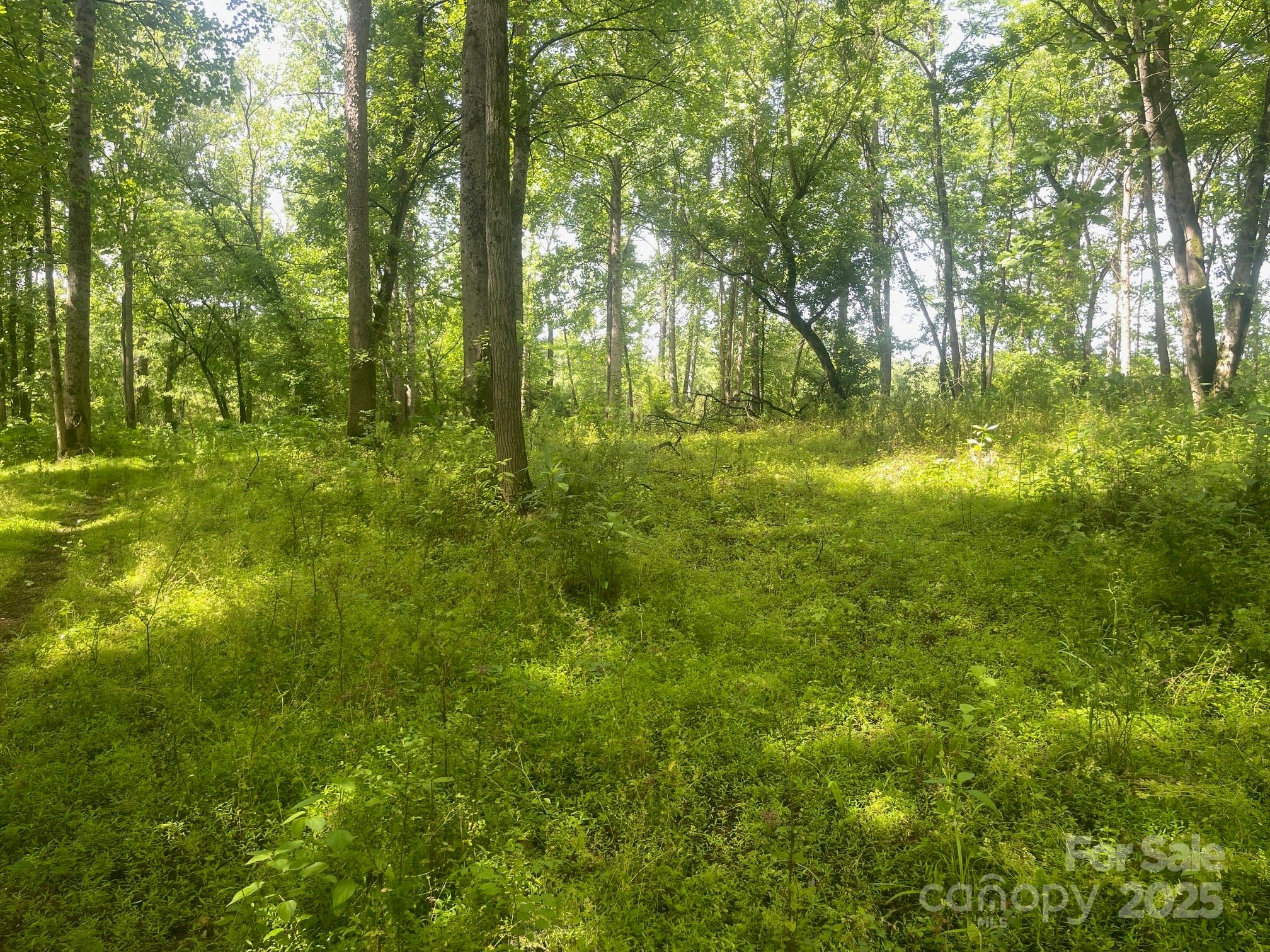 River Rock Shores - Land