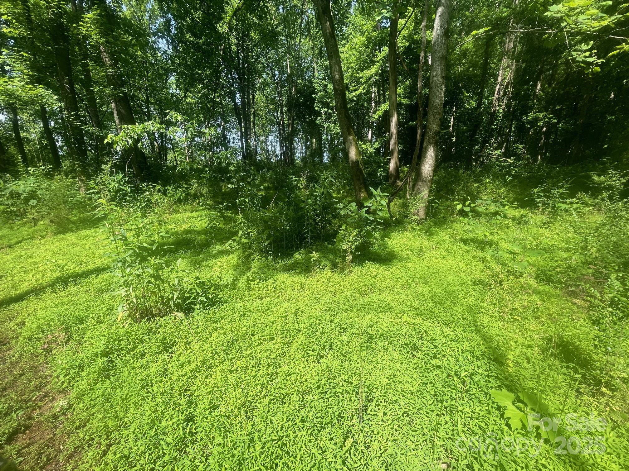 River Rock Shores - Land