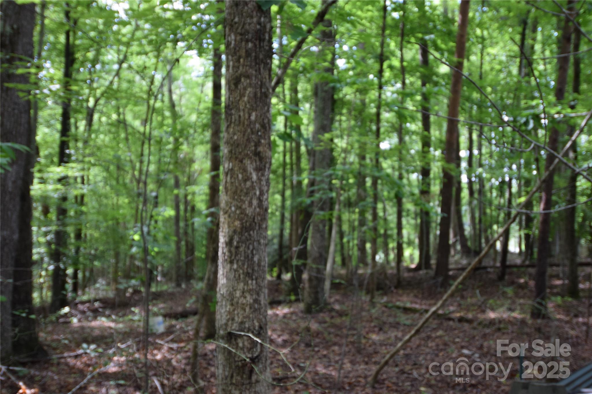 APPROXIAMTELY 209 FEET OF ROAD FRONTAGE AND 171 FEET DEEP. THE PROPERTY HAS NOT BEEN PERK TESTED.
BUYER WILL NEED TO PERK TEST IT.