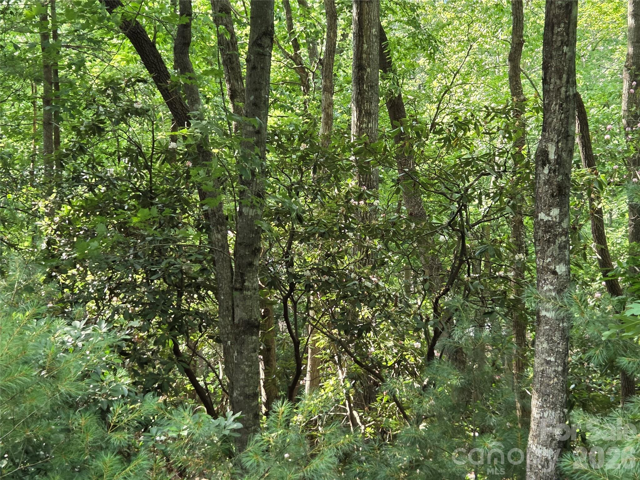 The Cliffs At Walnut Cove - Land