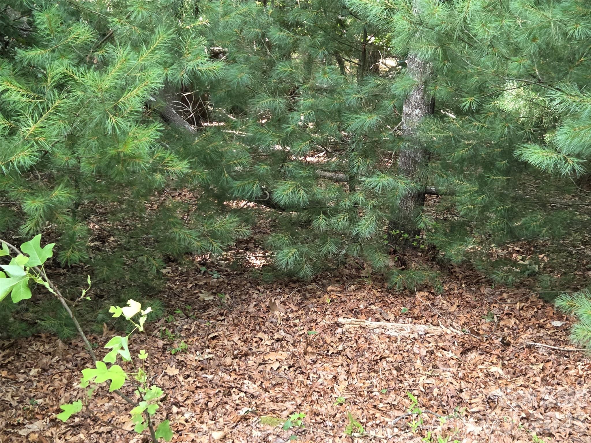 The Cliffs At Walnut Cove - Land