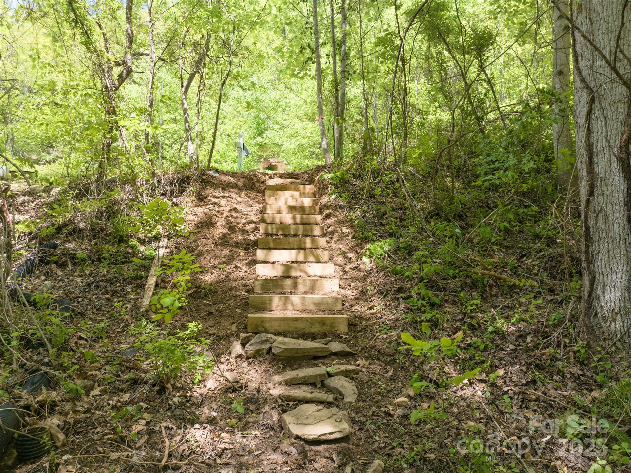 Poplar Ridge - Land