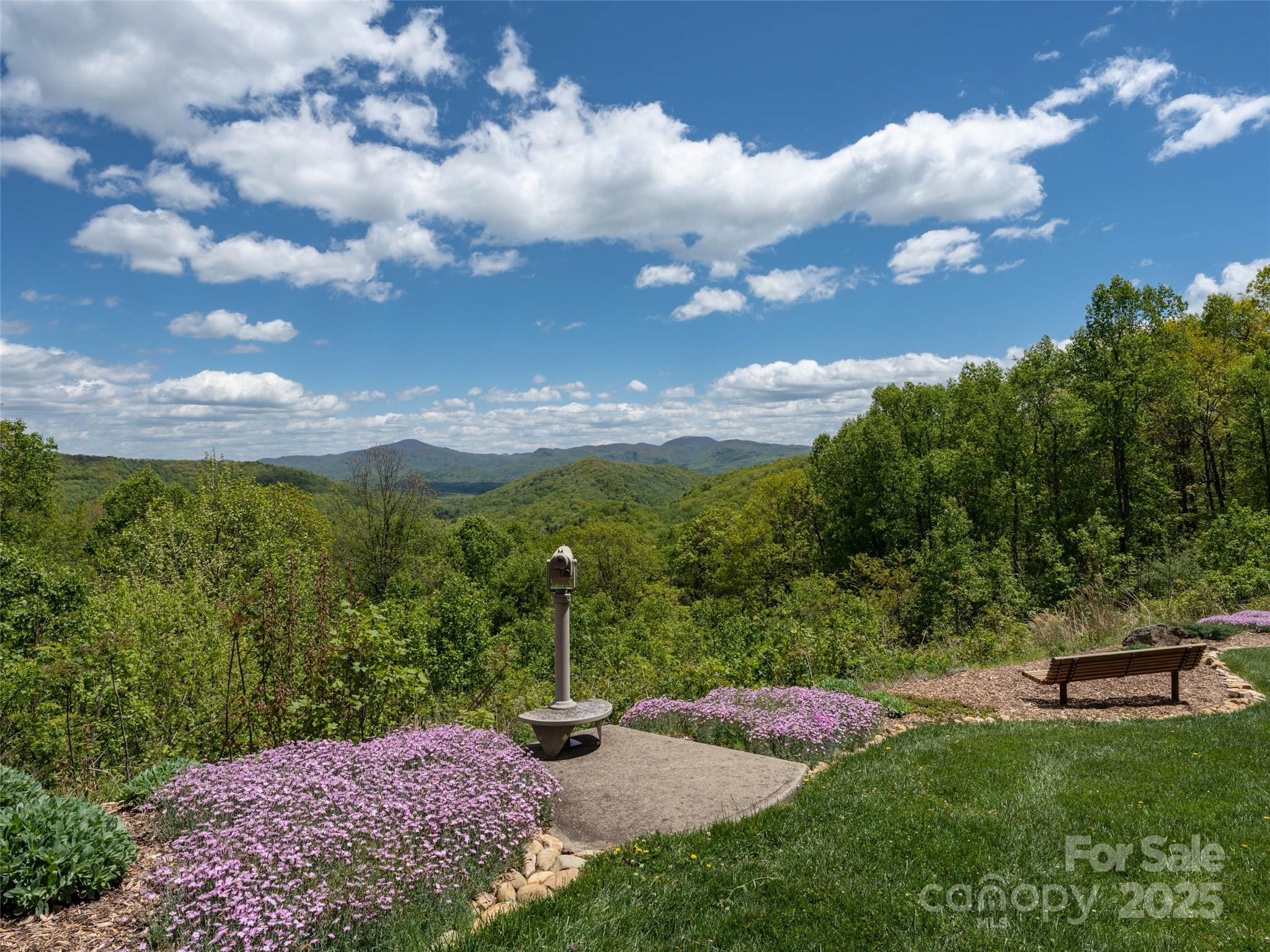 Poplar Ridge - Land