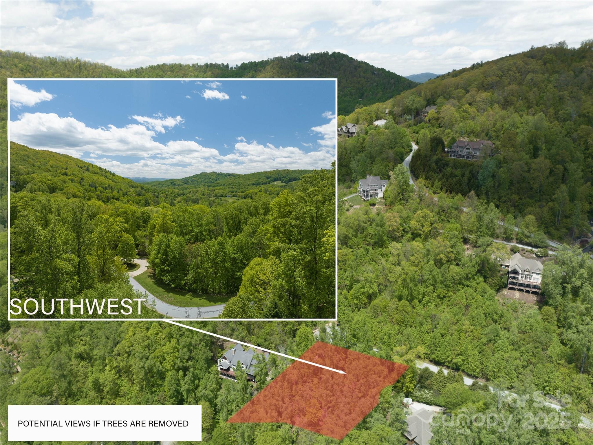 Build your dream home in this premier gated community. This partially cleared, 0.76-acre parcel offers a private, wooded setting with stunning Blue Ridge Mountain views. All the groundwork is ready: a four-bedroom septic permit is already on file, and the proposed house site, driveway, and property corners are professionally flagged. Poplar Ridge is perfectly located midway between the vibrant scene of downtown Asheville and the conveniences of the south side. Enjoy community amenities like a playground and a scenic picnic area, all set against a beautiful mountain backdrop.