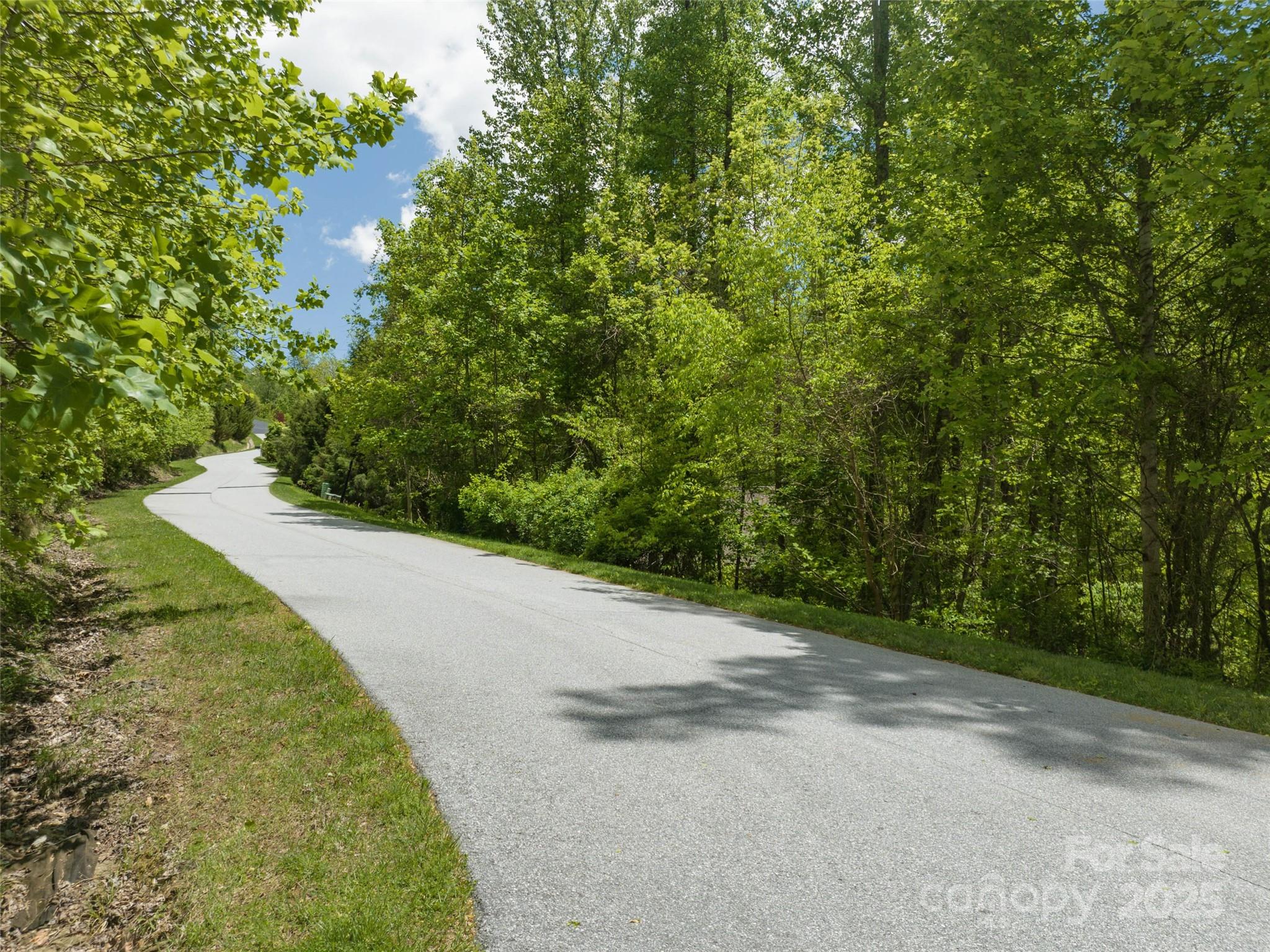 Poplar Ridge - Land