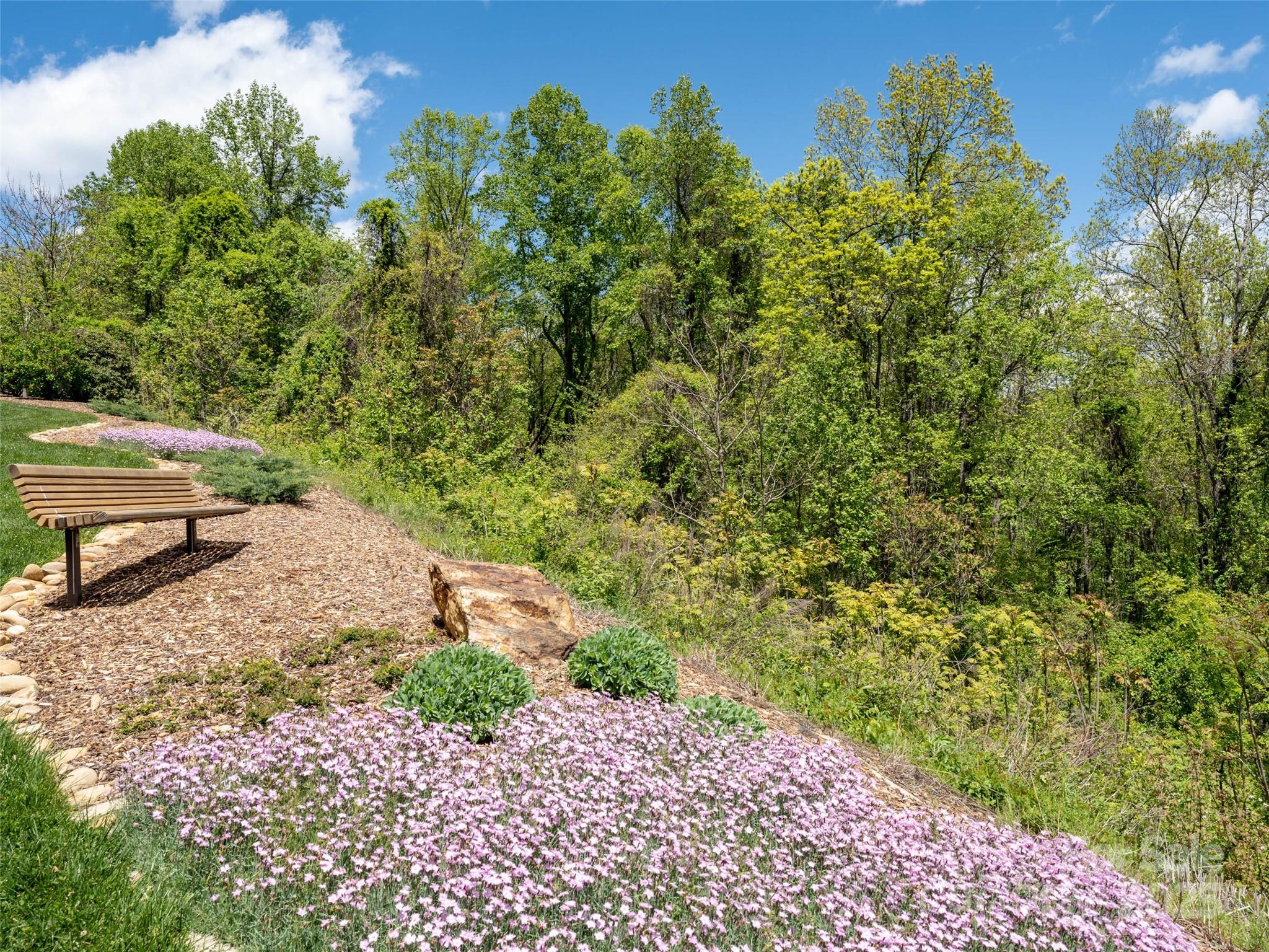 Poplar Ridge - Land