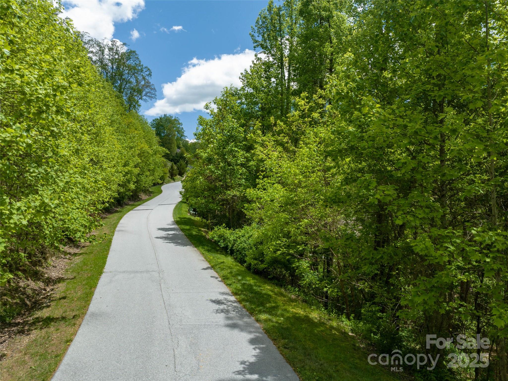 Poplar Ridge - Land