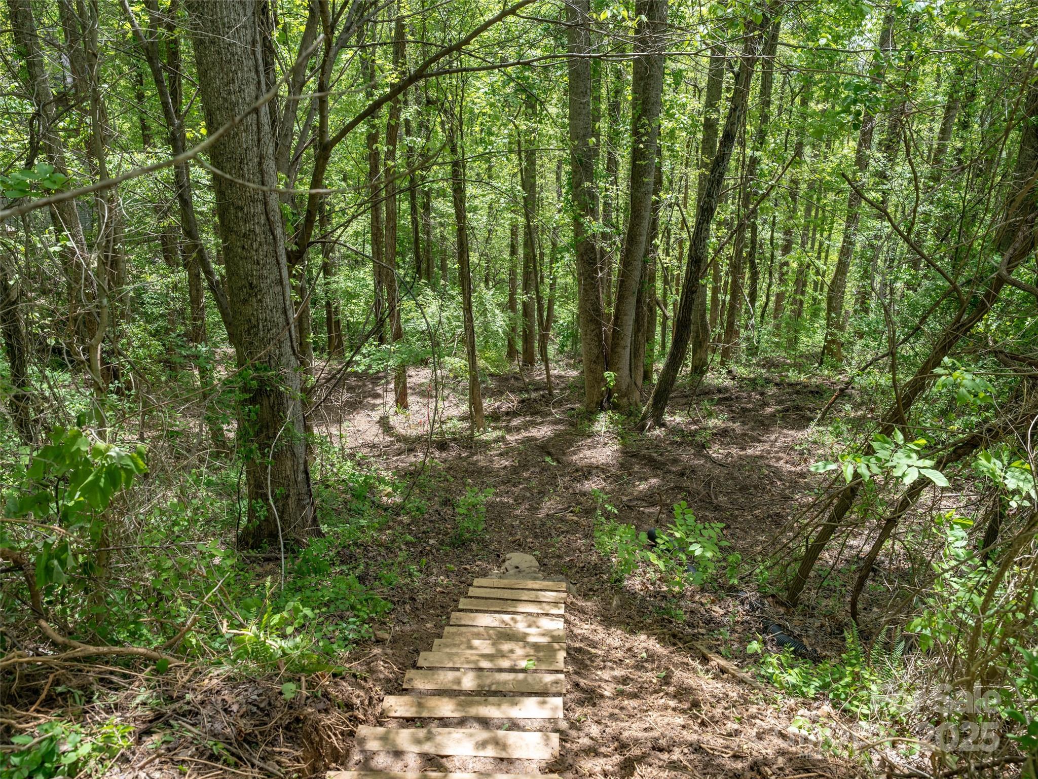 Poplar Ridge - Land