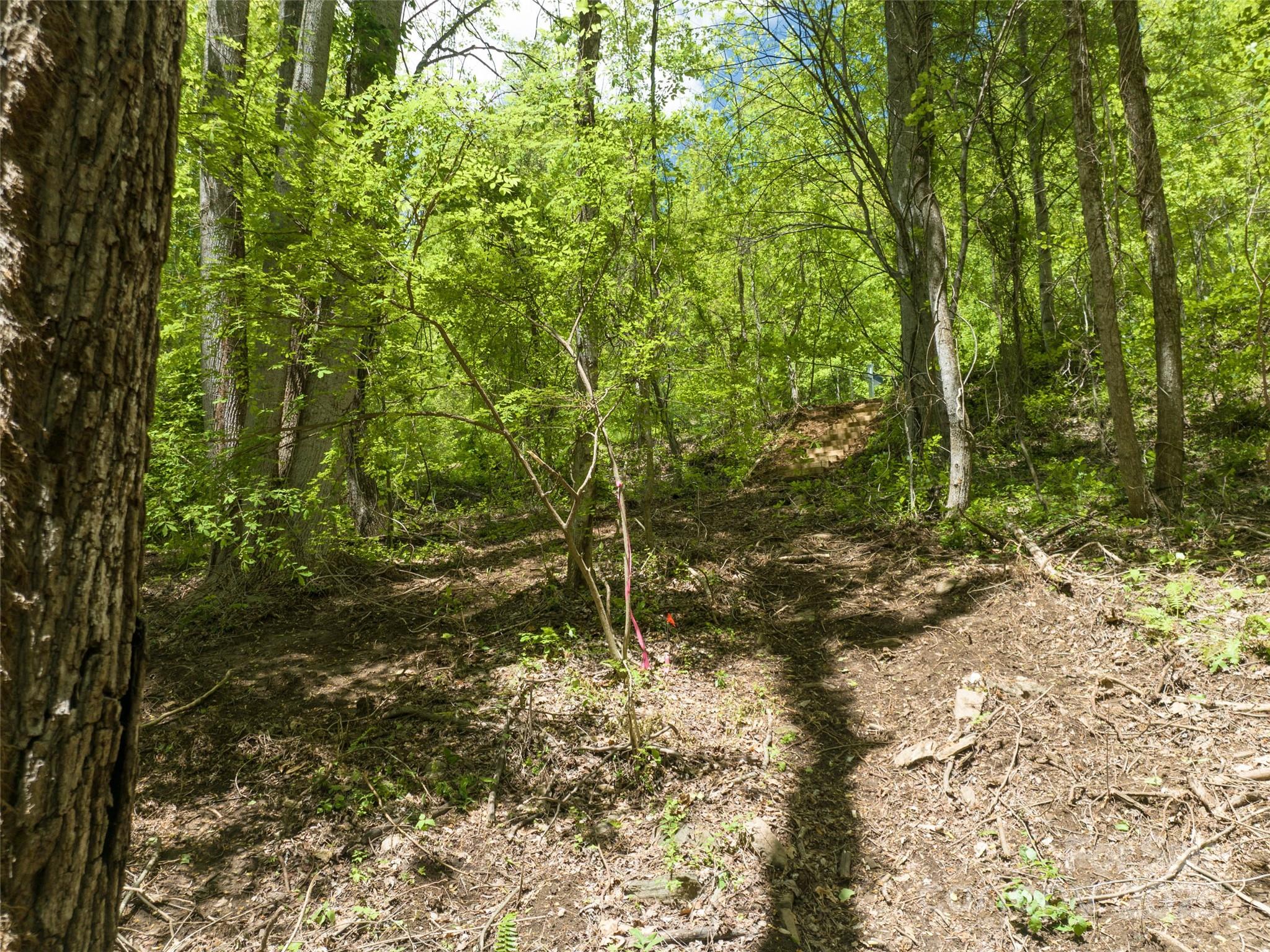 Poplar Ridge - Land