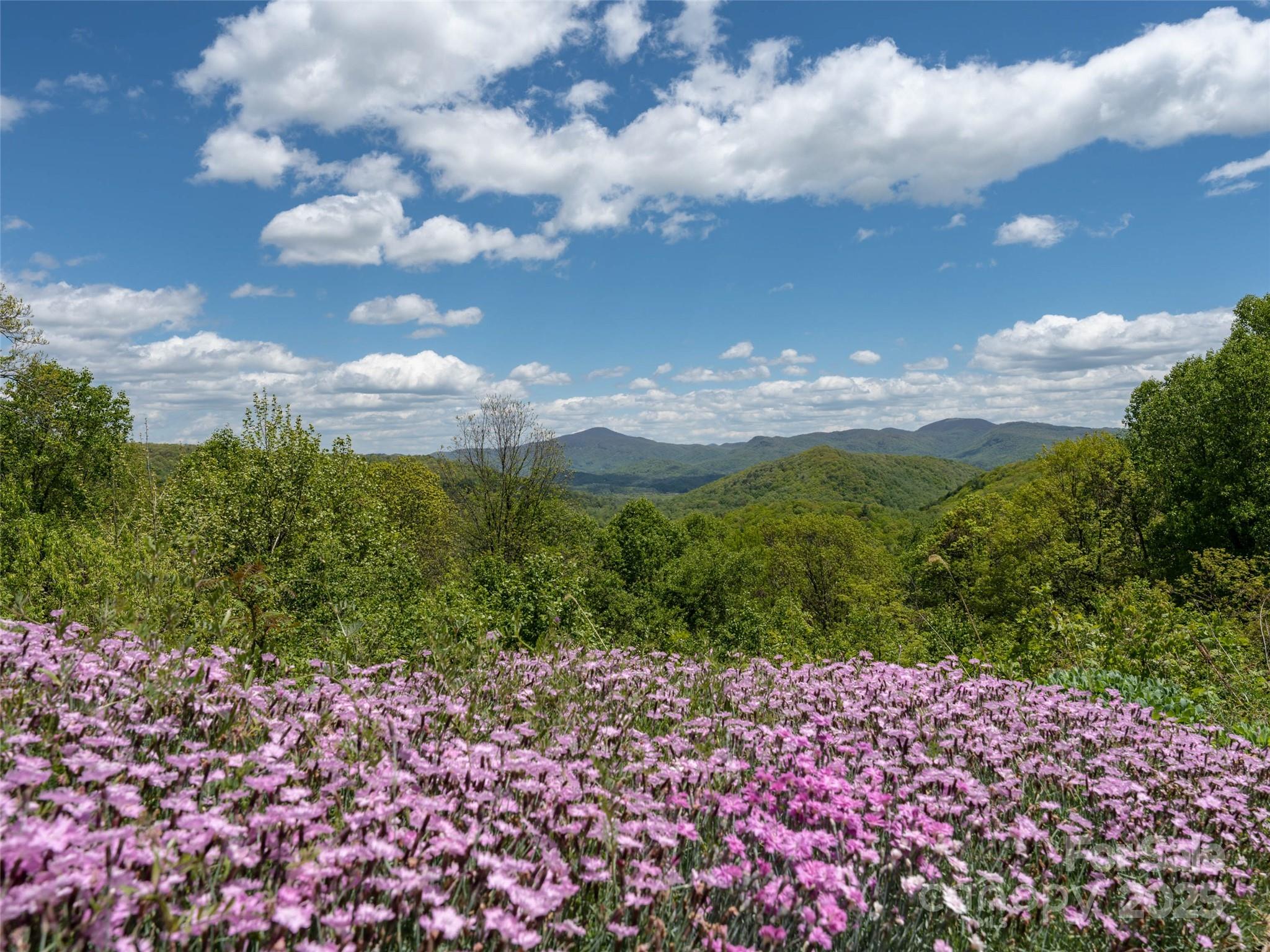 Poplar Ridge - Land