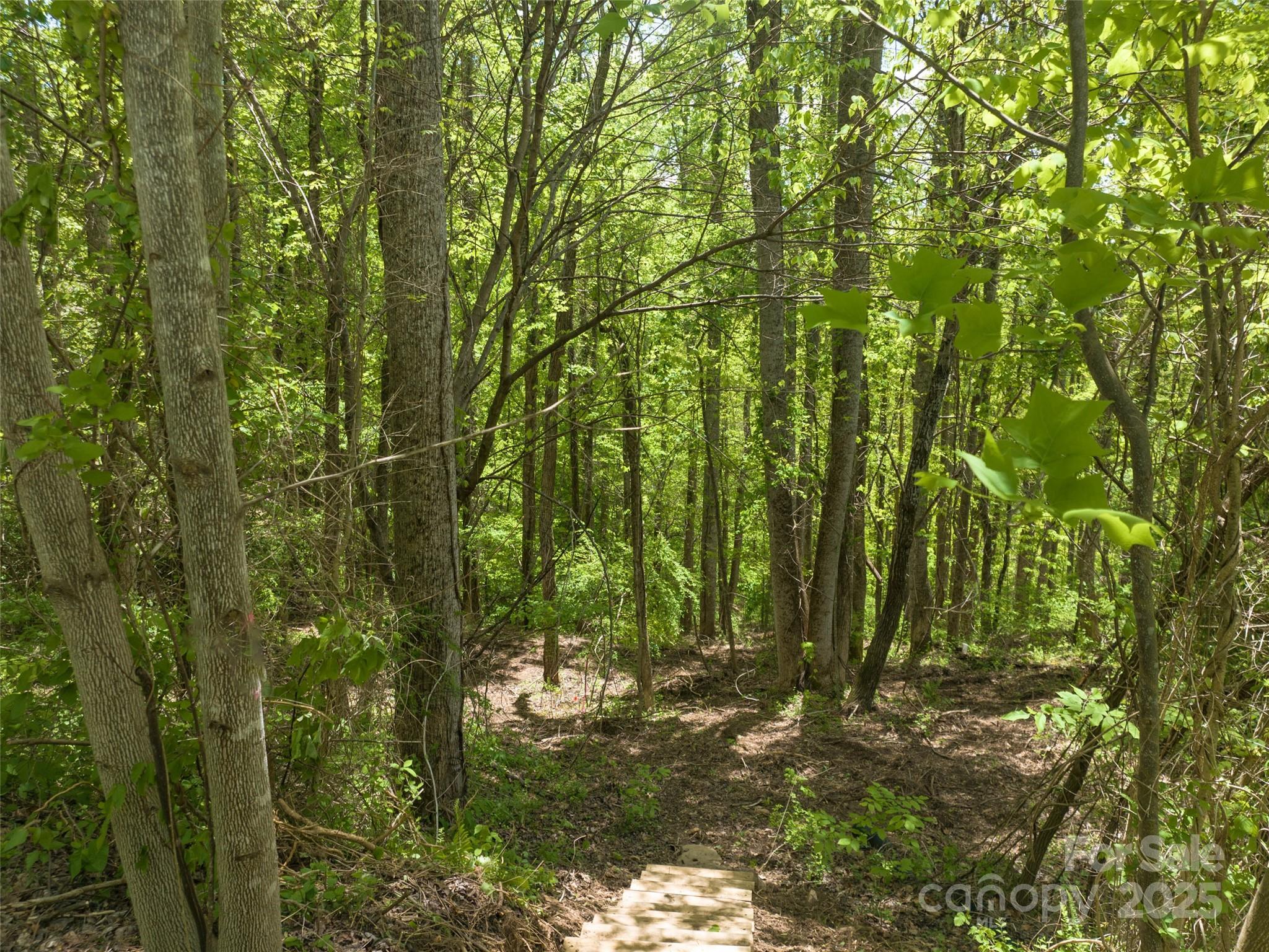 Poplar Ridge - Land