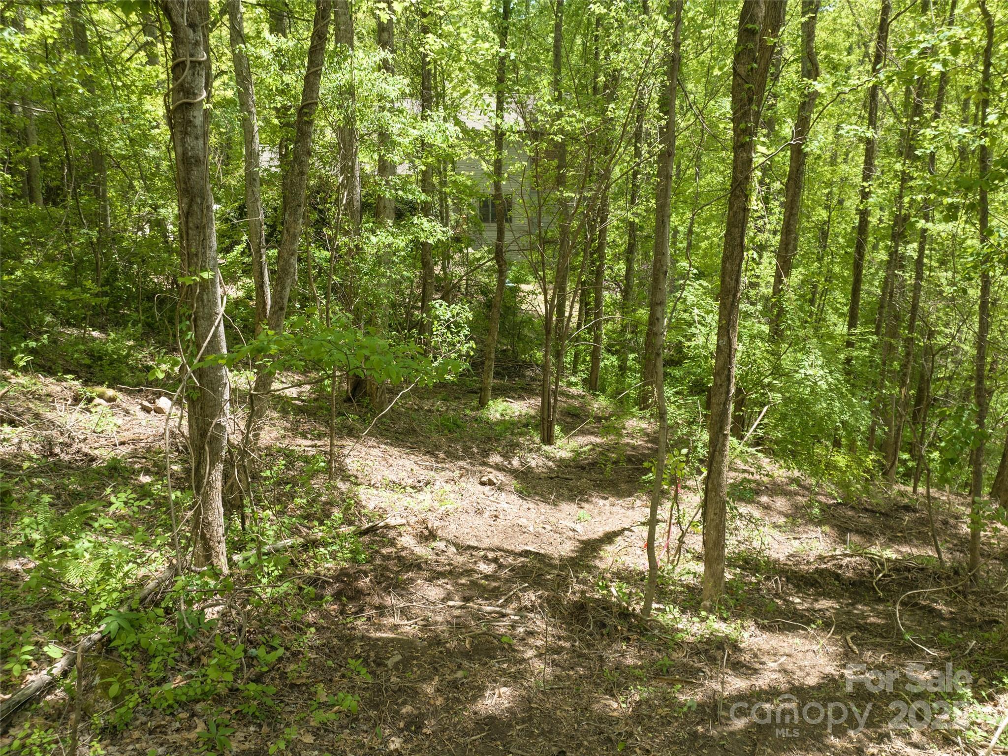 Poplar Ridge - Land