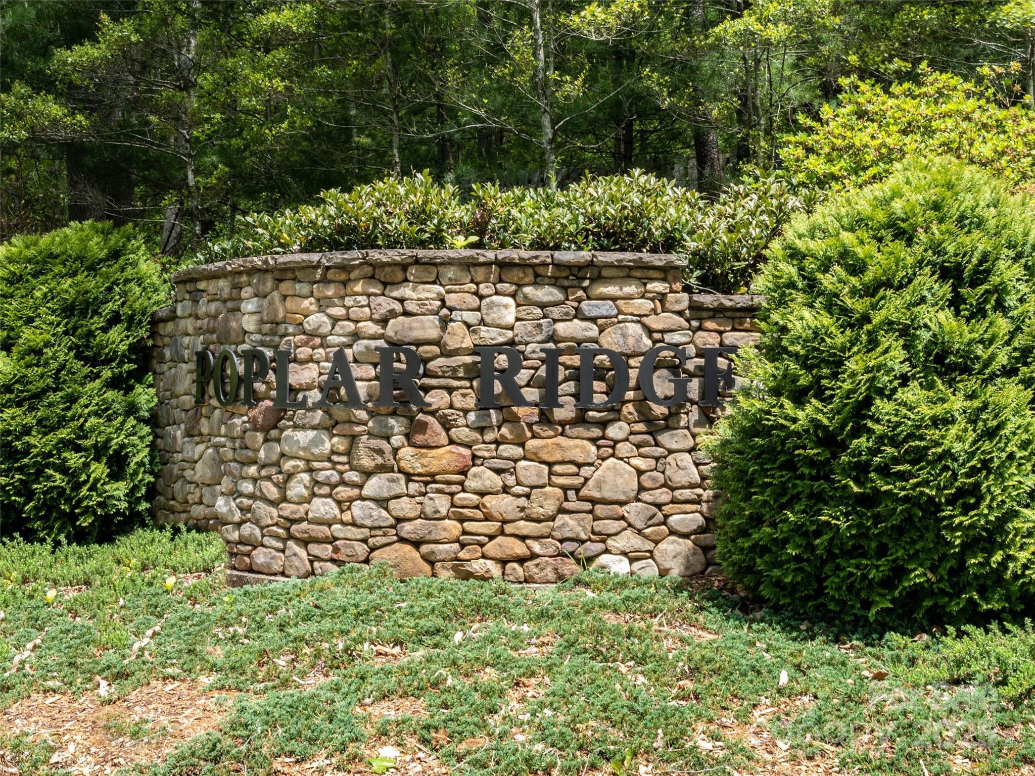 Poplar Ridge - Land