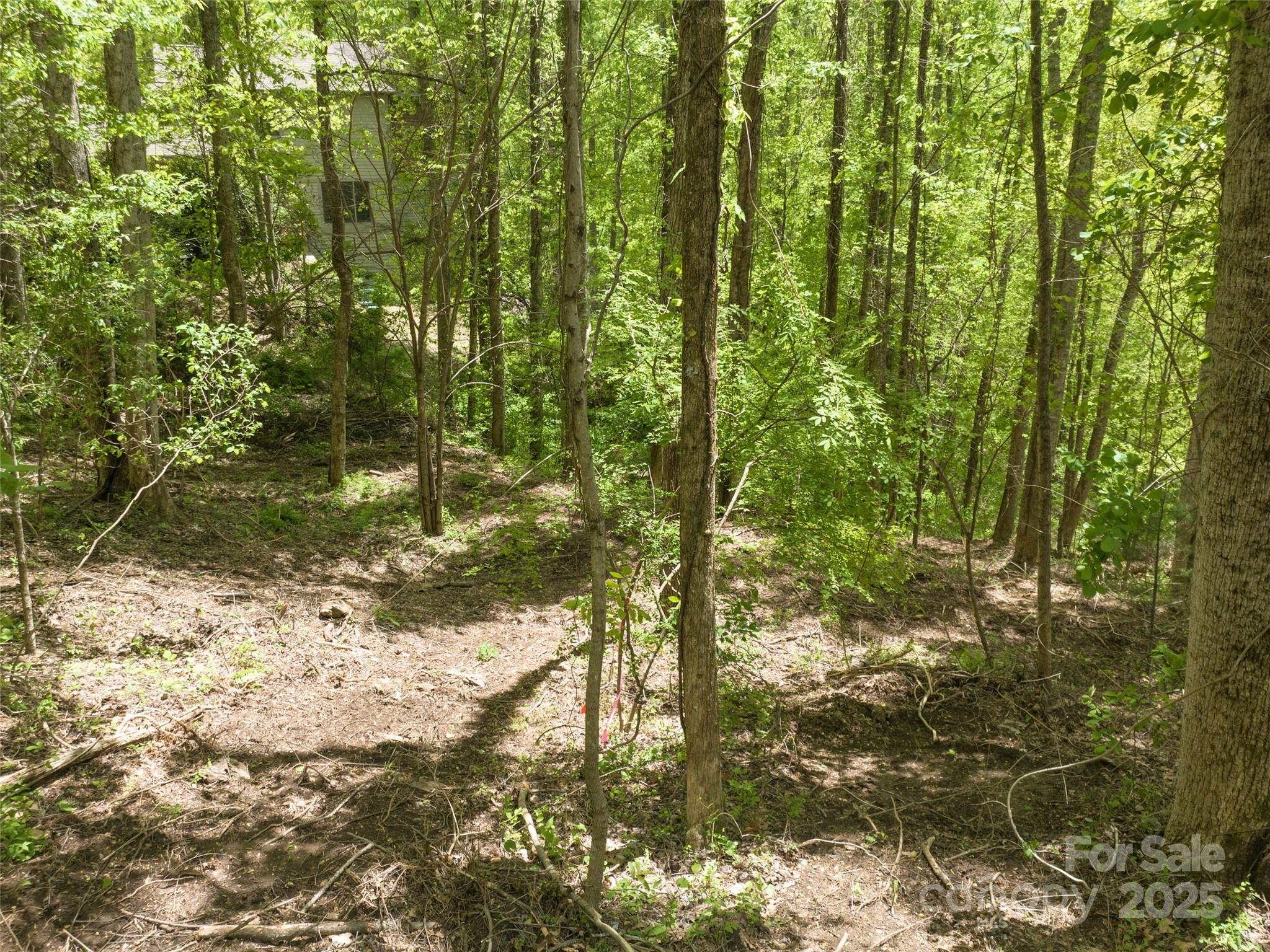 Poplar Ridge - Land
