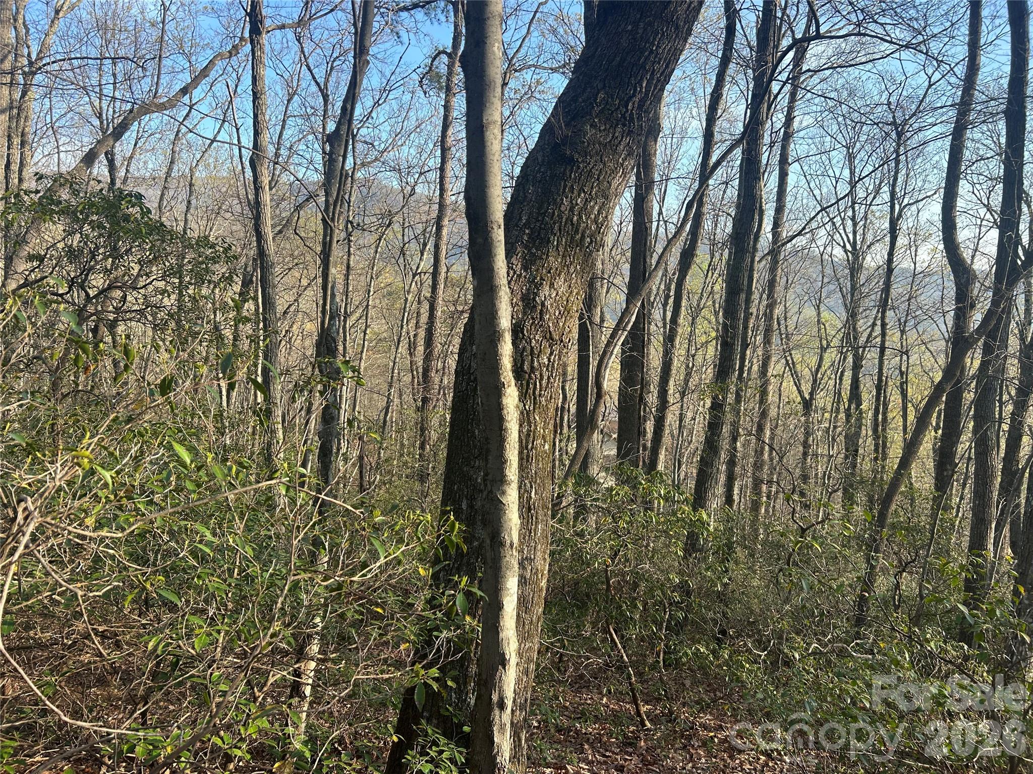 Rumbling Bald on Lake Lure - Land