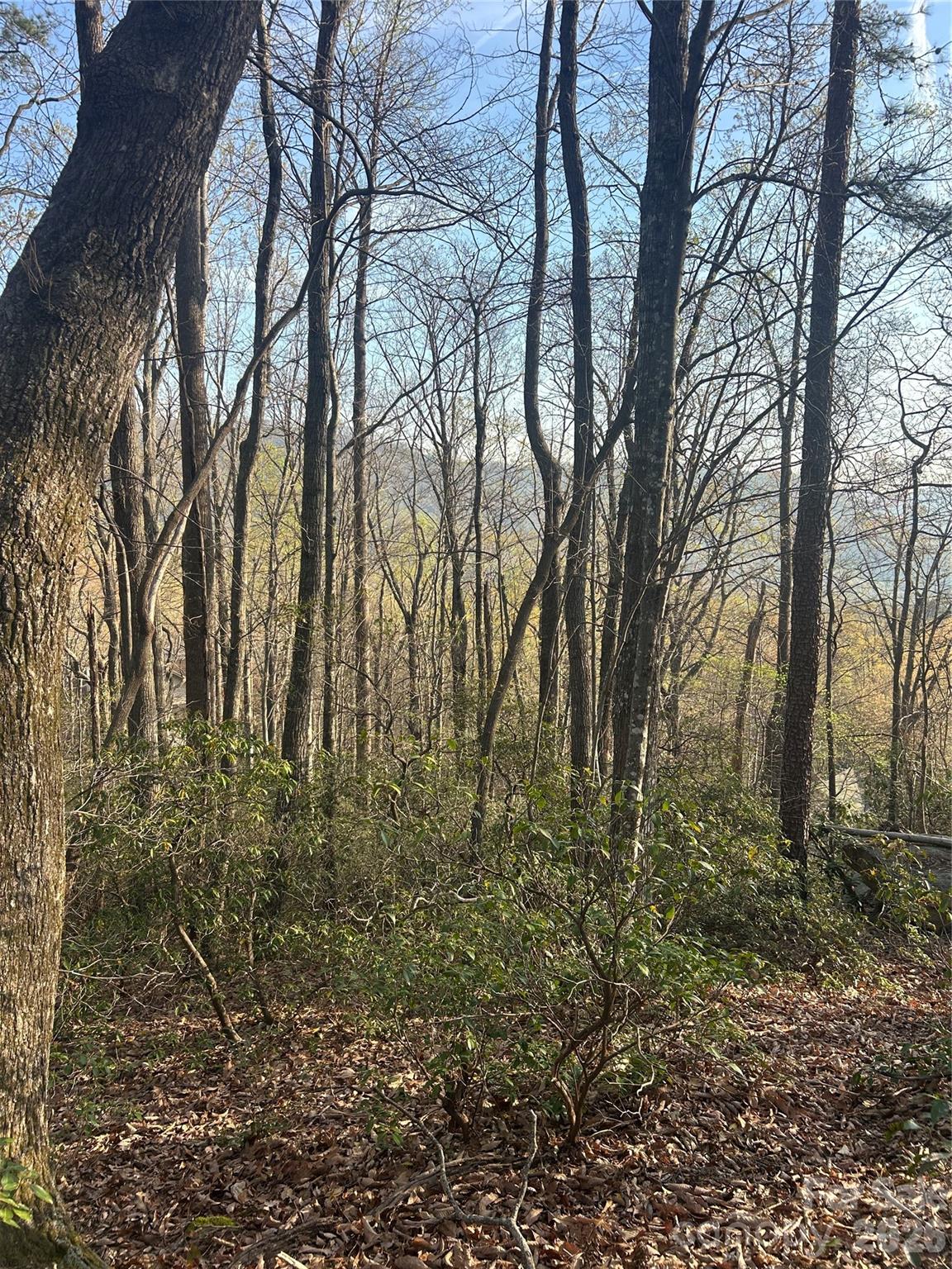 Rumbling Bald on Lake Lure - Land