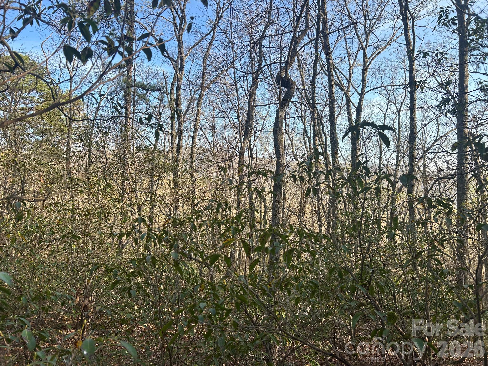 Rumbling Bald on Lake Lure - Land