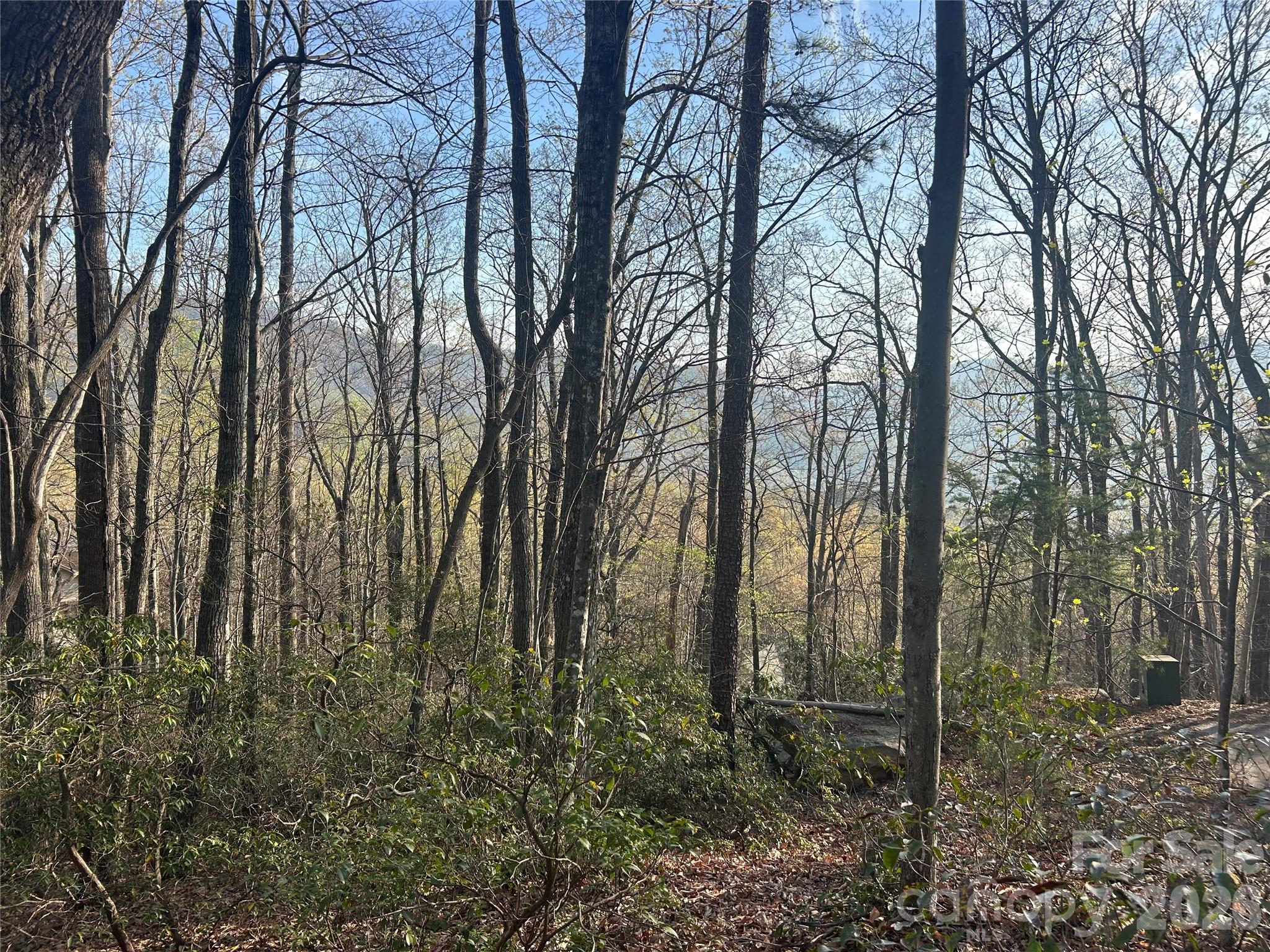 Located inside the gates of Rumbling Bald on Lake Lure, this gently sloping homesite offers seasonal mountain views with the potential to open up year-round views. Nestled in an area of newer construction homes, this lot presents an excellent opportunity to build your custom mountain retreat in one of Lake Lure’s most sought-after communities. Enjoy access to Rumbling Bald’s premier resort-style amenities, including two championship golf courses, private beach access on Lake Lure, marina, indoor and outdoor pools, wellness center, spa, pickleball and tennis courts, walking trails, and on-site dining at multiple restaurants. Whether you’re planning a full-time residence, second home, or investment property, the setting and lifestyle here are unmatched. The lot previously perked for a 3-bedroom septic system (buyer to confirm). A capital contribution fee of $1,100 applies, along with annual POA dues of $3,911 for vacant lot.  Tax card shows .77 acres agent confirmed with County that is for tax purpose only as to not include road and correct acres per plat is .91 acres. Bring your vision and start creating your Lake Lure lifestyle today!  There is a guard gate to enter Rumbling Bald on Lake Lure. Visit www.rumblingbald.com for CCR, Dues, Fees, ACC, and all POA information.