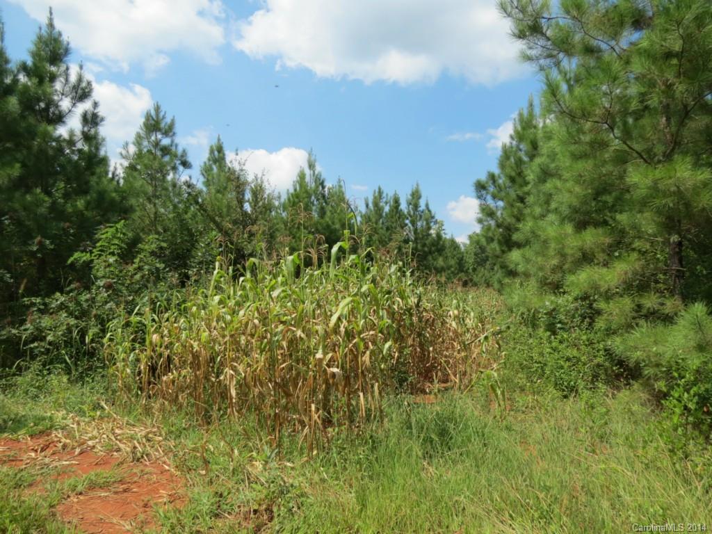 None - Land