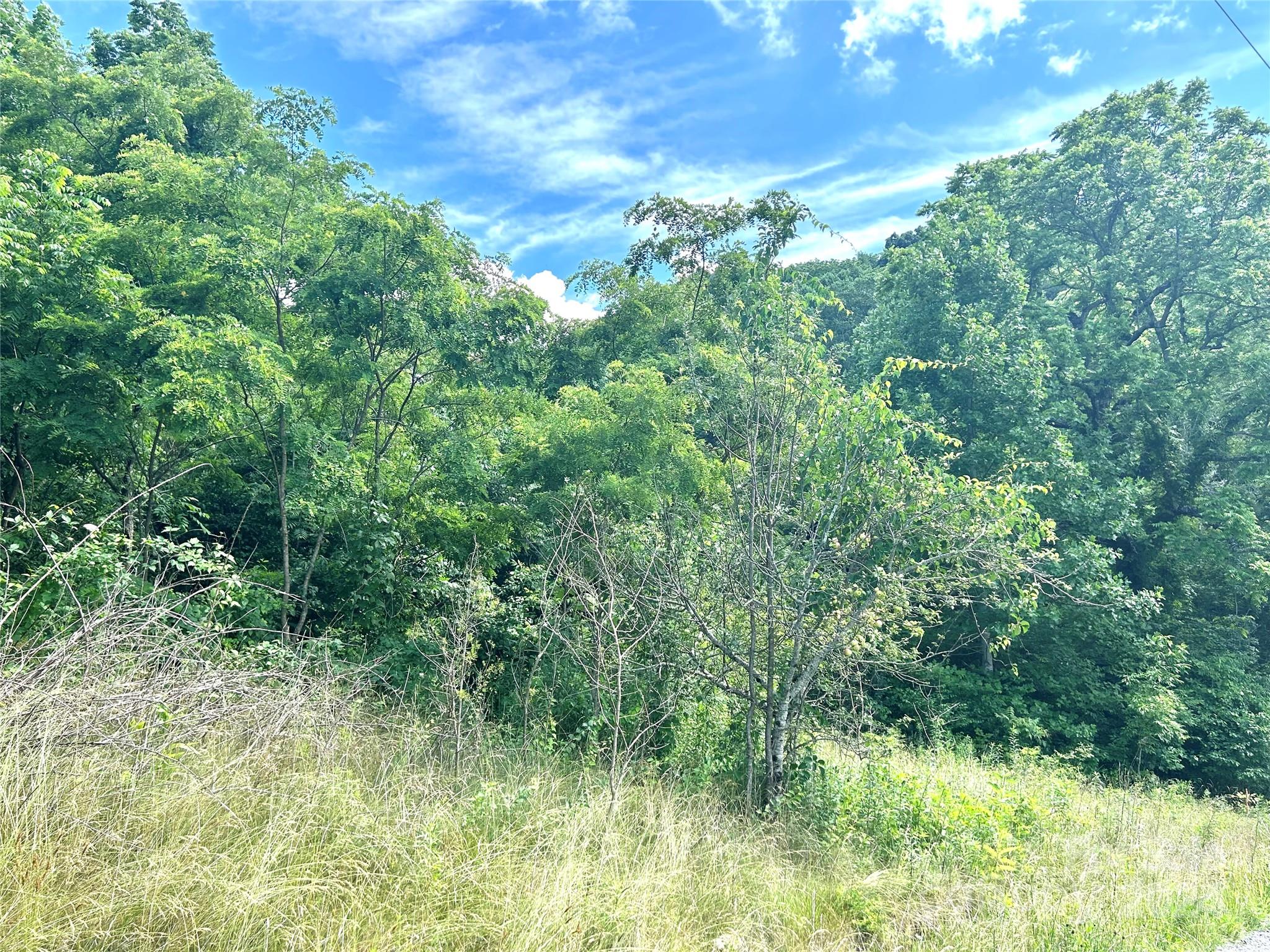Split Pine Estates - Land