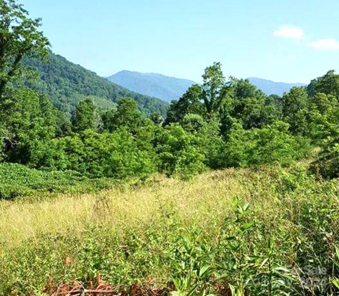 Looking for a nice Lot in Haywood county ? Here it is  1.13 acre Lot ,Split Pine Estates, in Clyde  Off Hwy 209. Beautiful corner lot with Year Round Mountain views! Electric and Shared Well in Place.  Light restrictions; No Mf Homes, Modular OK. ST rentals ok; Easy access off Hwy 209  15 Minutes to Waynesville/ Lake Junaluska.  Has small stream!  
Per restrictions  Modular homes ok. No single wide homes, or tiny homes allowed. Camper temp ok while building ,   WELL: shared  well with another lot  only. - electric access on site.  No septic. But would be easy to perk.