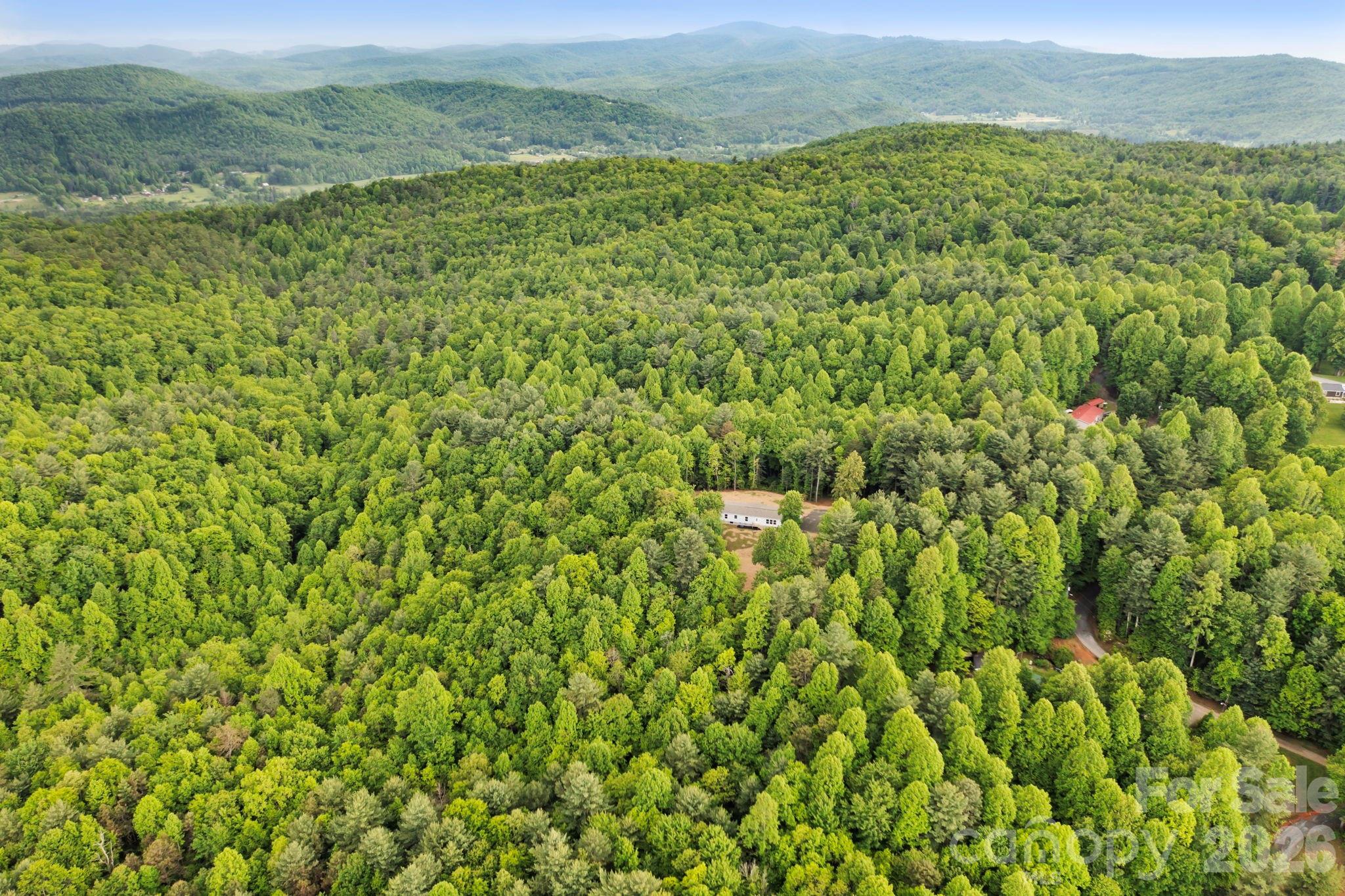 This is an excellent opportunity for your next build(s). Beautiful wooded acreage perfect for a large estate build or up to 3 separate builds as subdivision has already occurred. With over 5 acres of land, there are endless possibilities and it is just off Jeter Mountain Road, south of Etowah. The lots range from level to sloping and exude privacy. The individual lots range from 1.60 to 2.17 acres. With a great location, beautiful acreage, and diverse potential; this opportunity is prime for your next personal or investment endeavor.