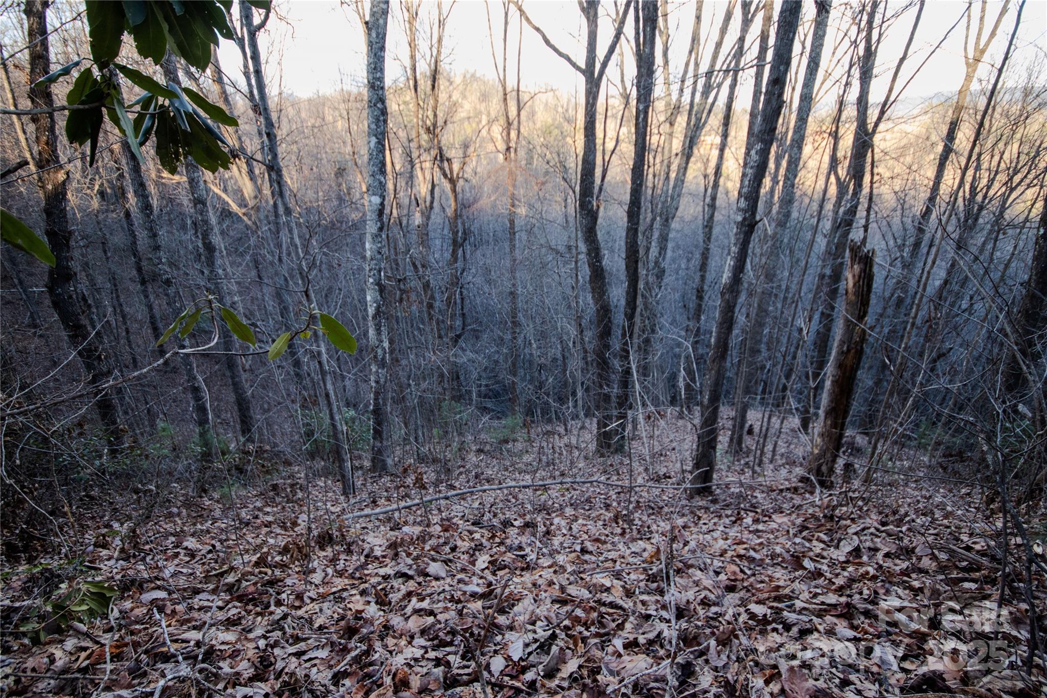 Timber Rock - Land