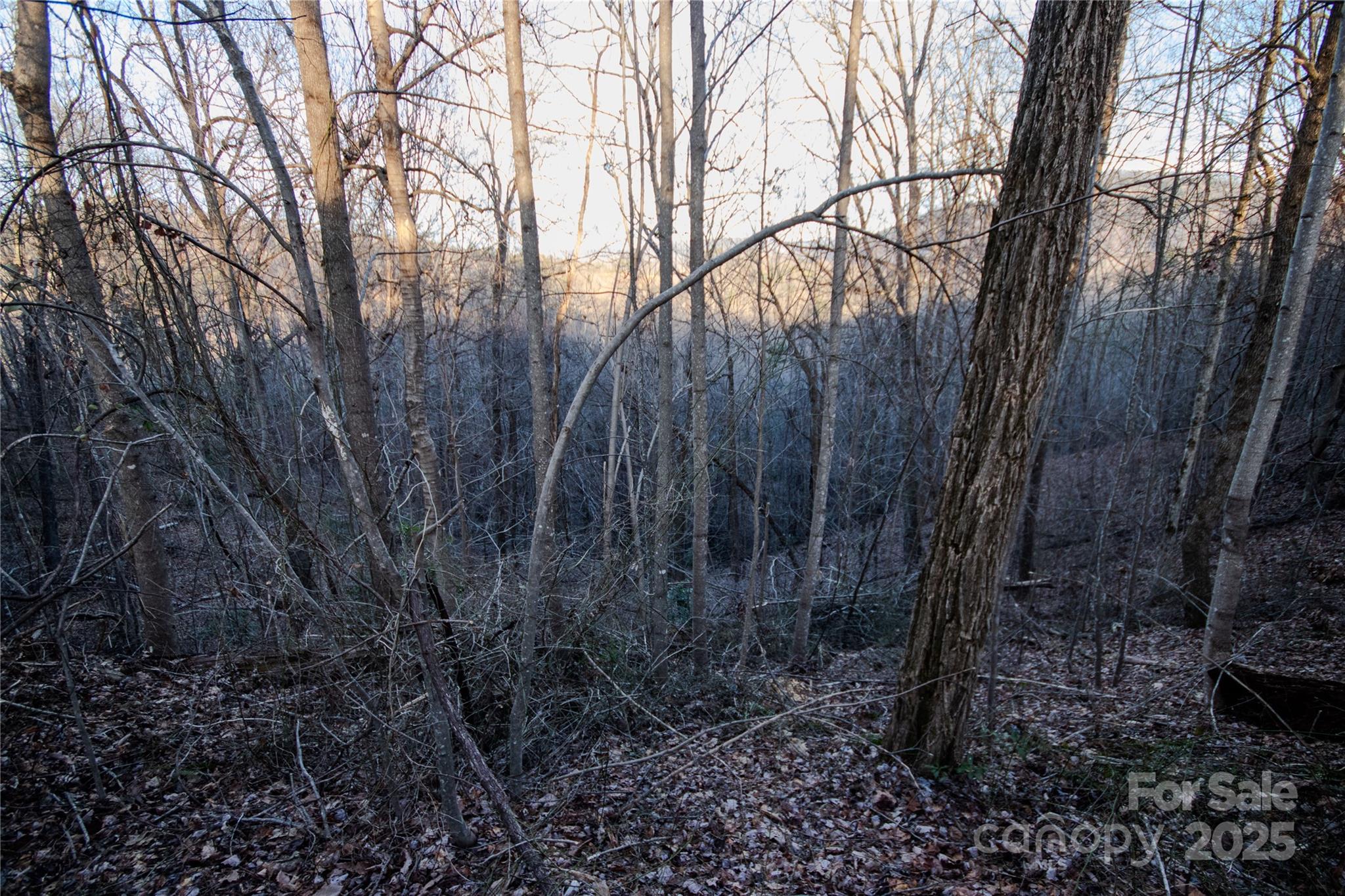Timber Rock - Land