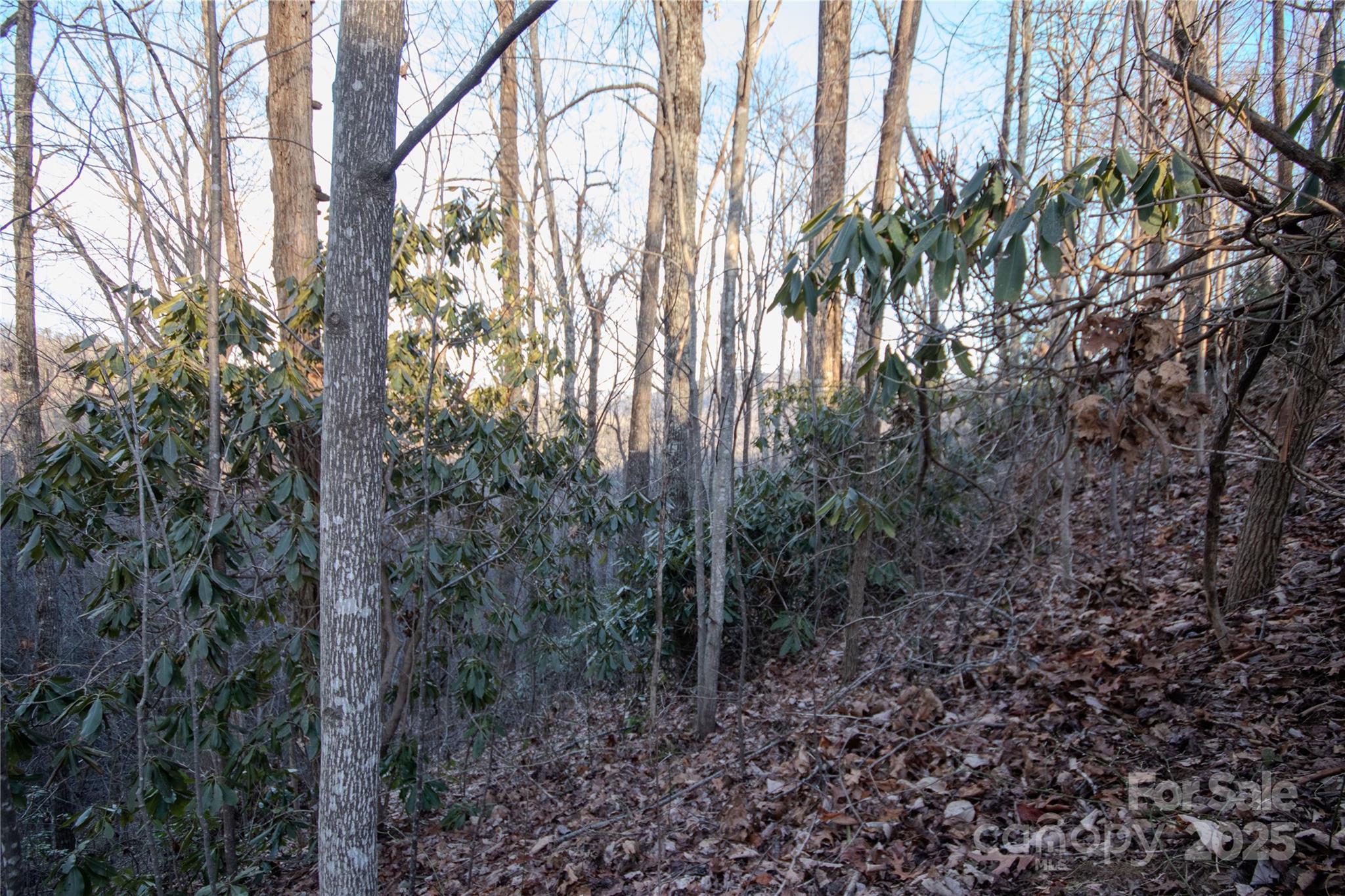 Timber Rock - Land