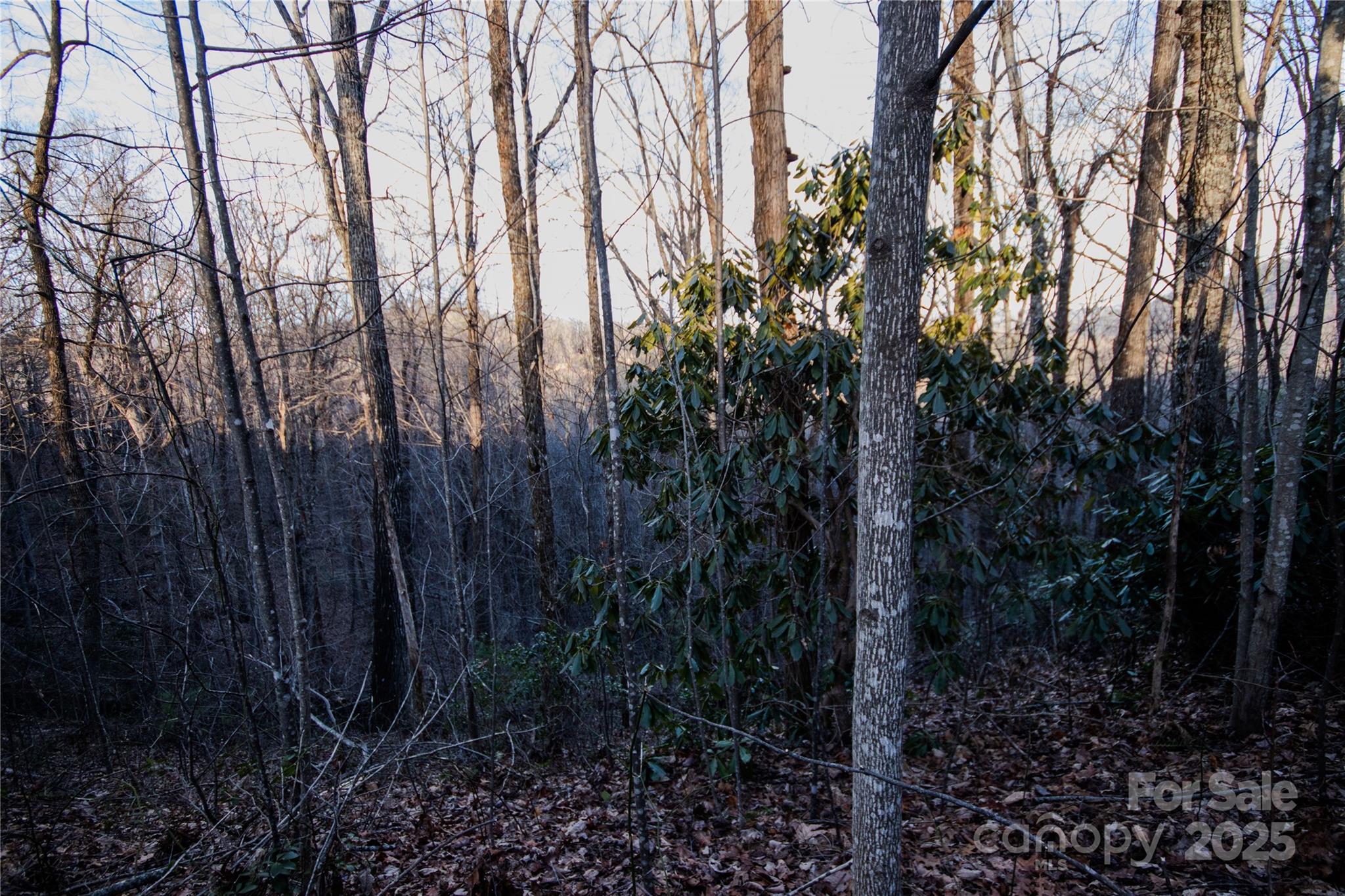 Timber Rock - Land