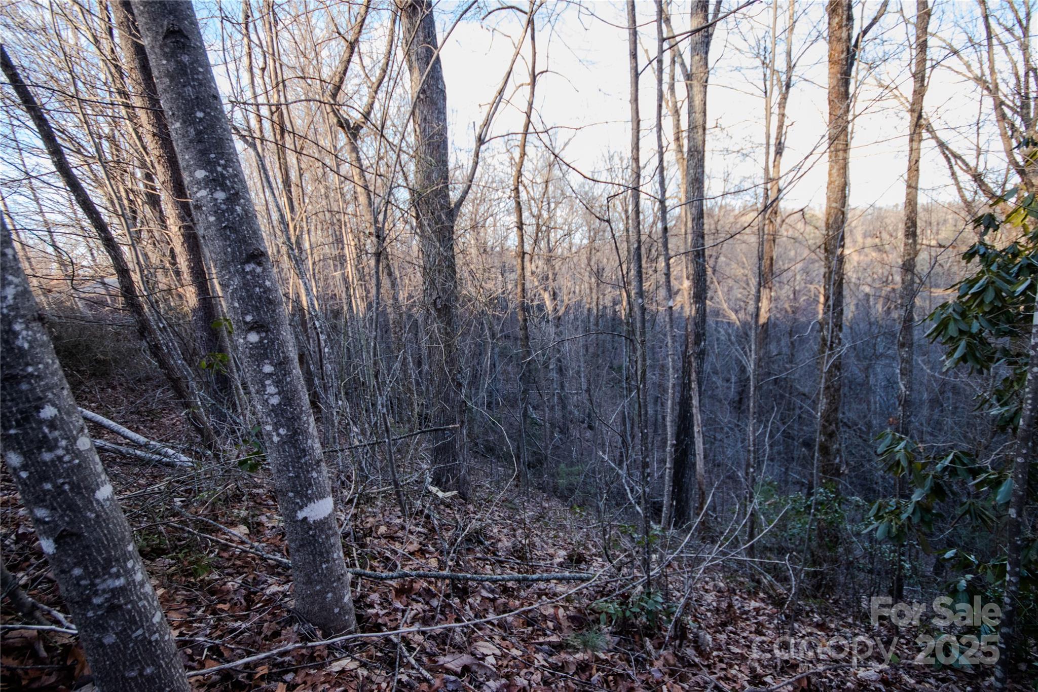 Timber Rock - Land
