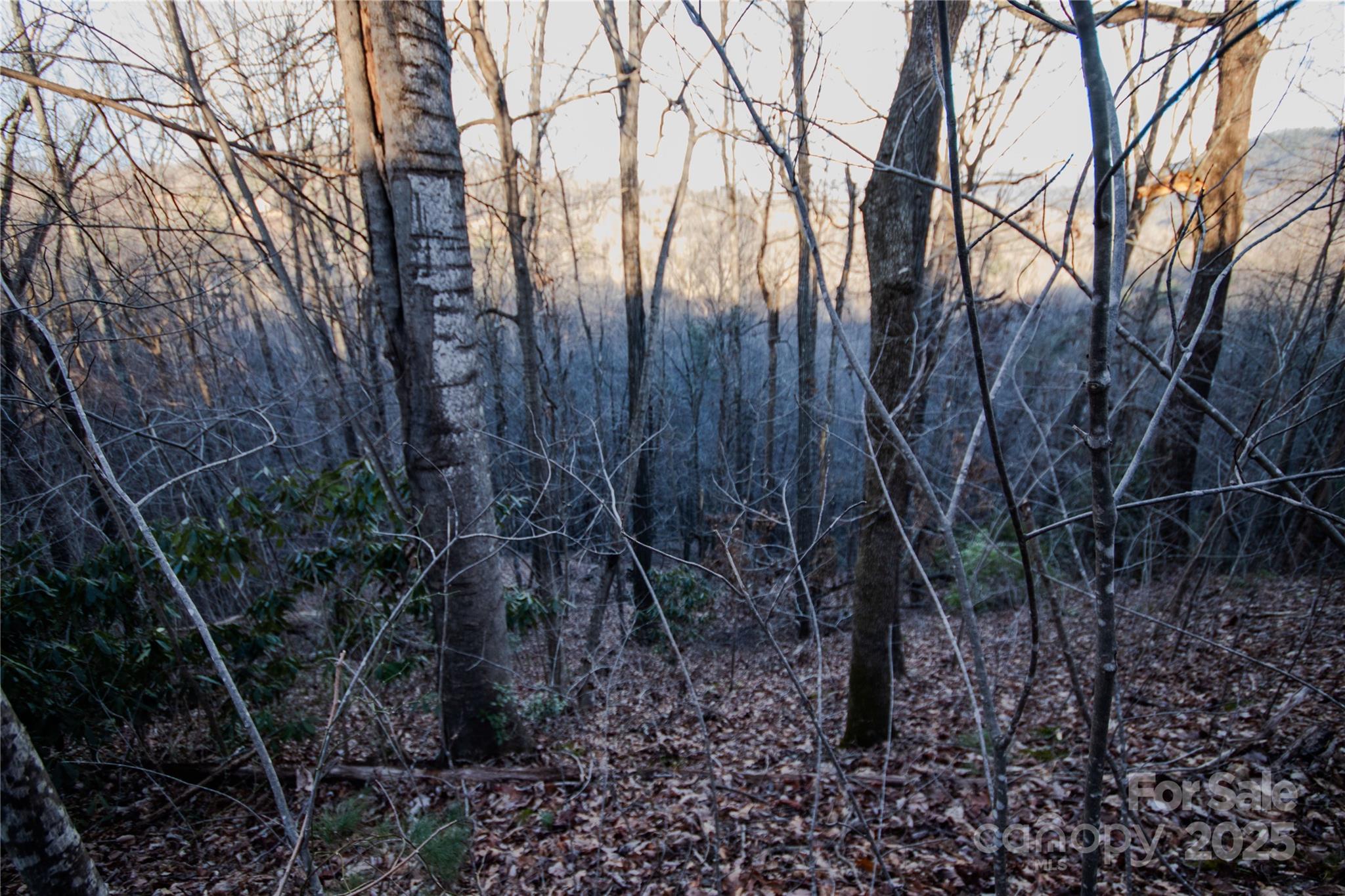 Timber Rock - Land