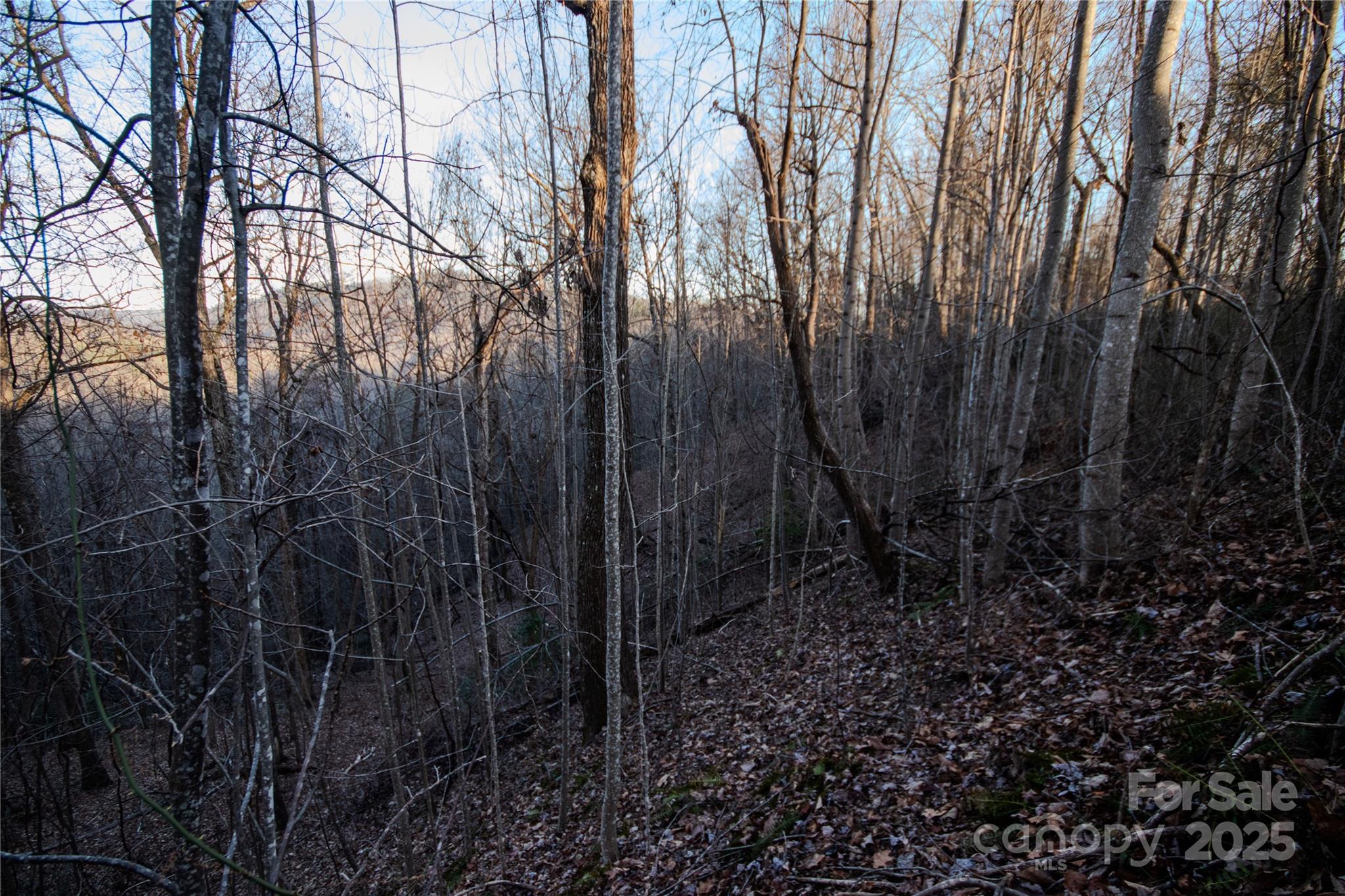 Timber Rock - Land