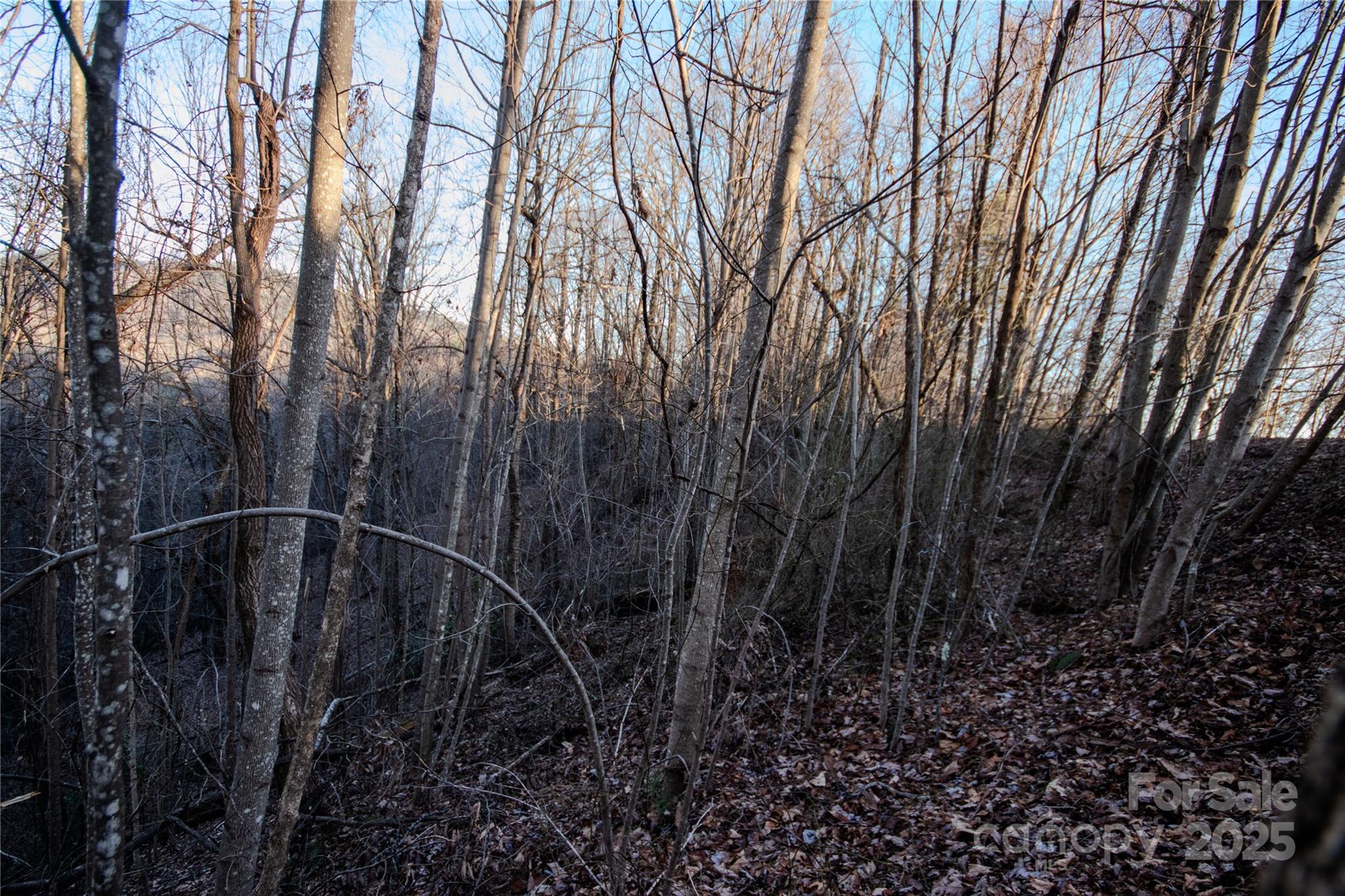 Timber Rock - Land