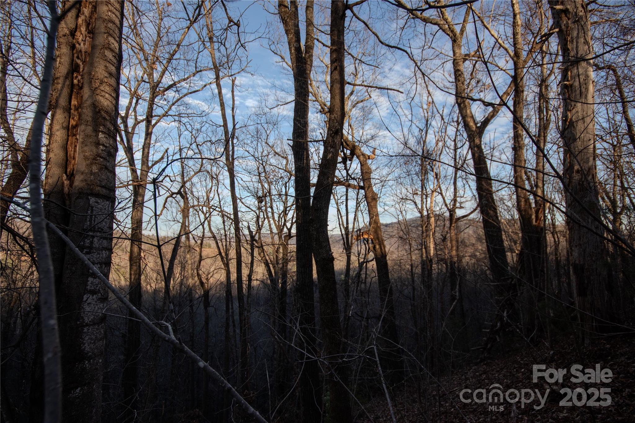Timber Rock - Land