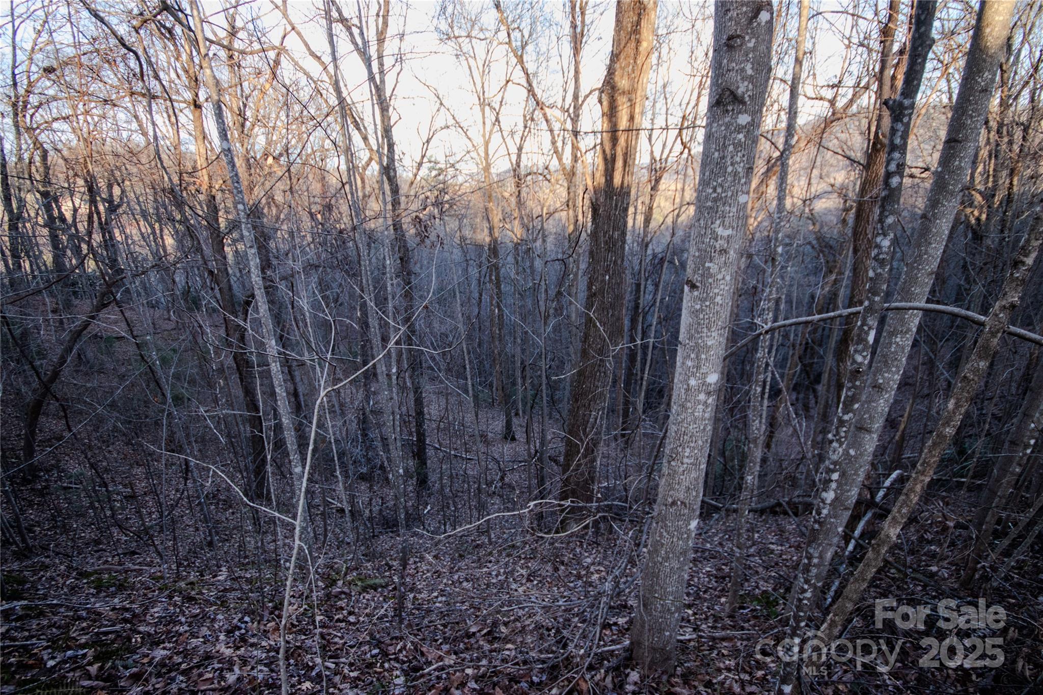 Timber Rock - Land