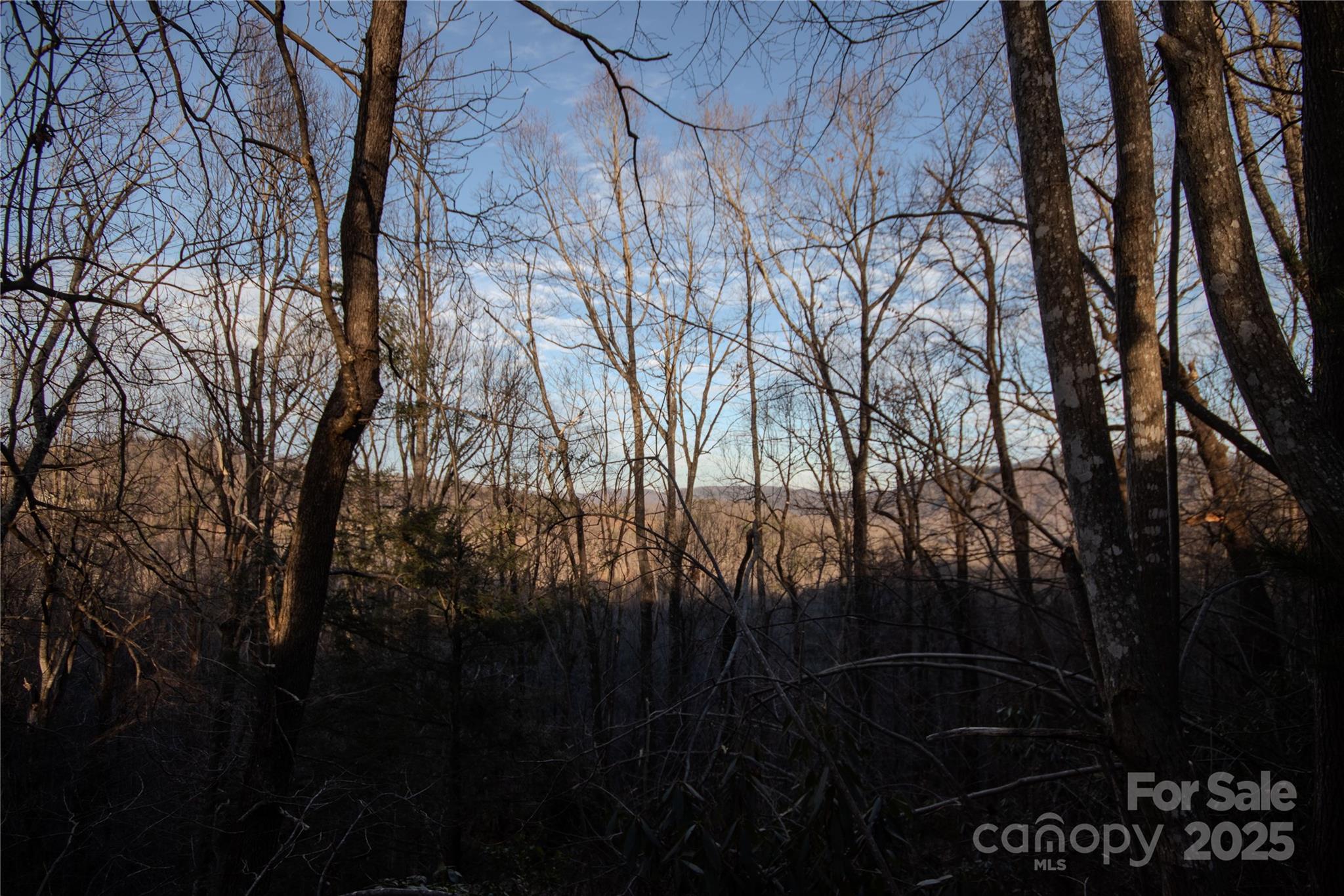 Timber Rock - Land