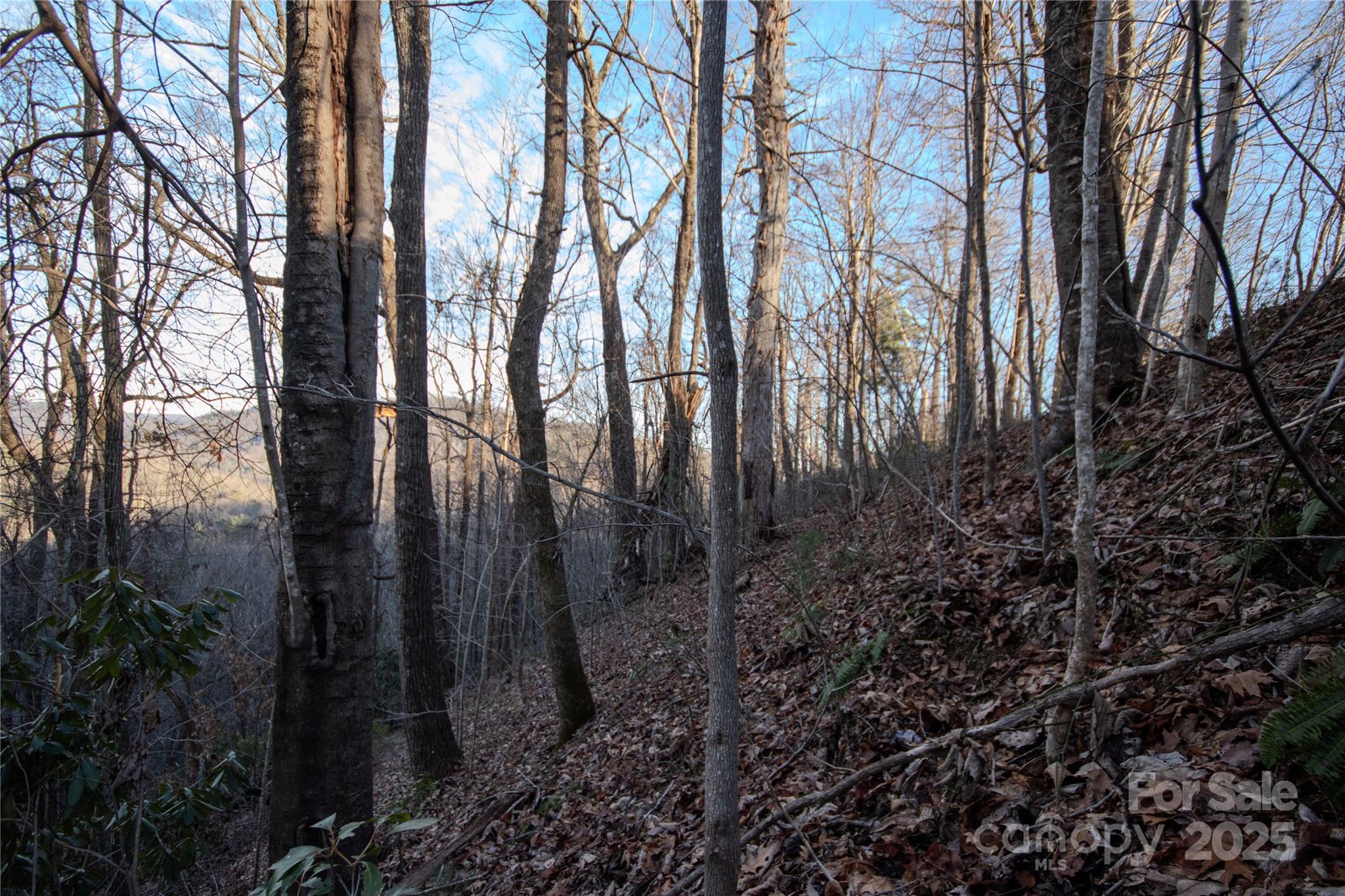 Timber Rock - Land