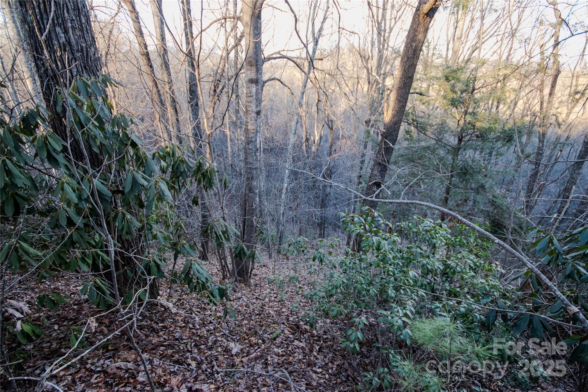Timber Rock - Land