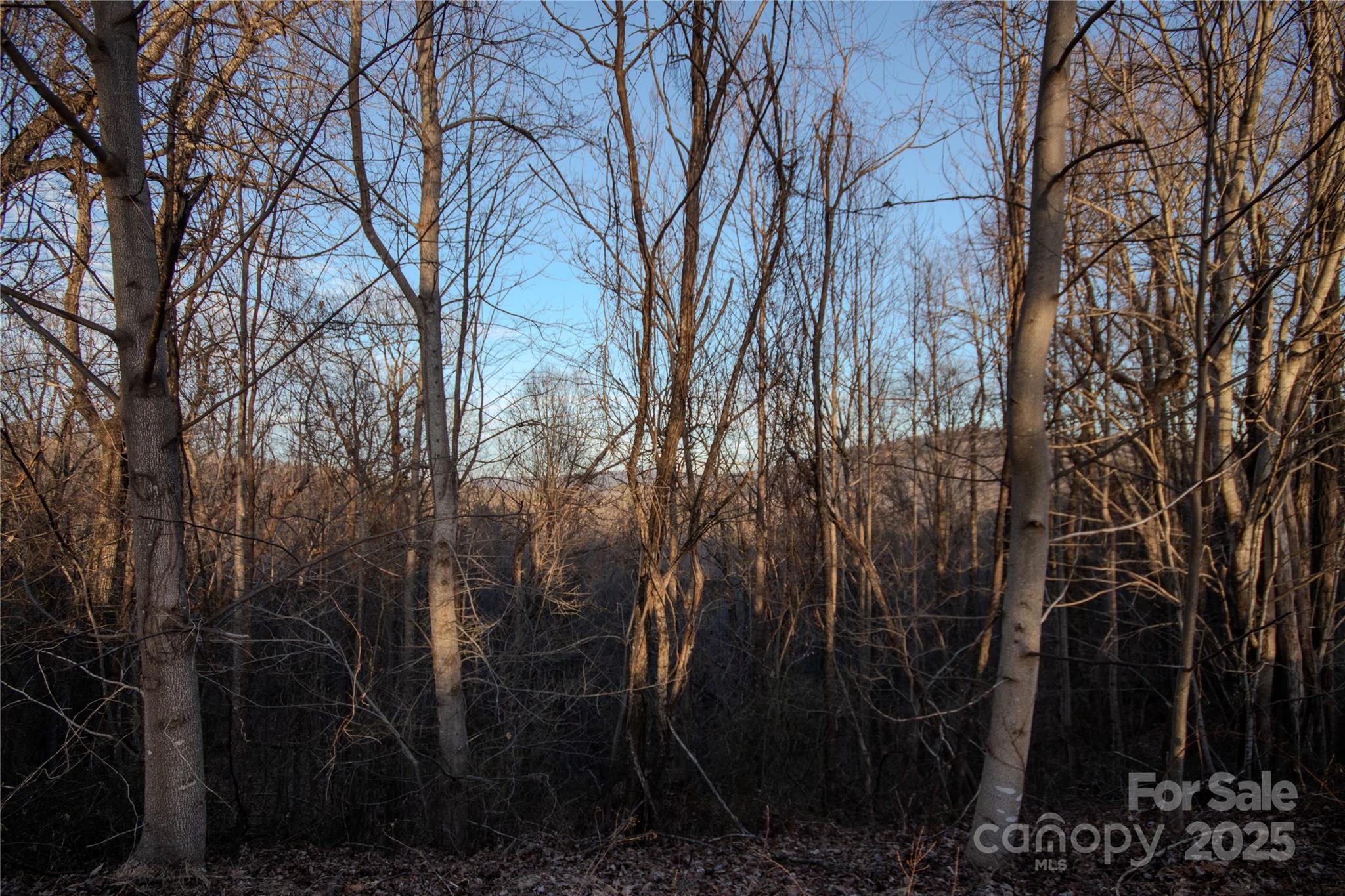10+ ACRES MINUTES FROM BLOWING ROCK! This property, nestled in the Western NC mountains is only 10 minutes from Blowing Rock and less than 15 minutes from the Blue Ridge Parkway. Located just off of US Hwy 321 and within the gated community of Timber Rock, this lot provides a 10.14 Acre homesite that has septic docs from Land Resource Management for a 3 bedroom home. Once cleared, this lot would provide mountain views with  elevation ranges from 1900 to 2275 -  Enjoy the nice Summer temps without the Blowing Rock price!! Amenities include a gorgeous outdoor pavilion with rock fireplace, kitchen, grilling area, picnic area by the Yadkin River, restrooms and plenty of space to host the perfect outdoor event! This is your opportunity to own and build your beautiful mountain home or weekend getaway!