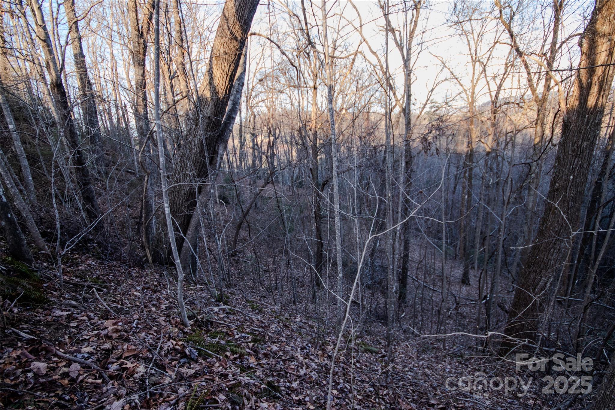 Timber Rock - Land